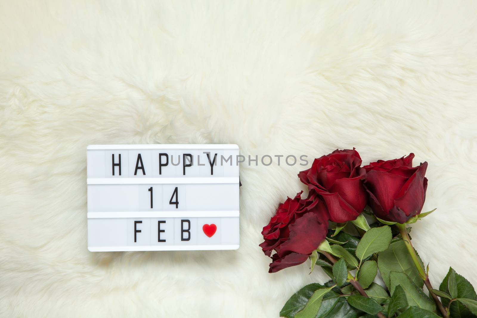 Bouquet of maroon roses on milk white fur carpet, lightbox with inscription Happy 14 FEB that means Valentine's Day. Flat lay. Top view. February 14th celebration concept. Horizontal.