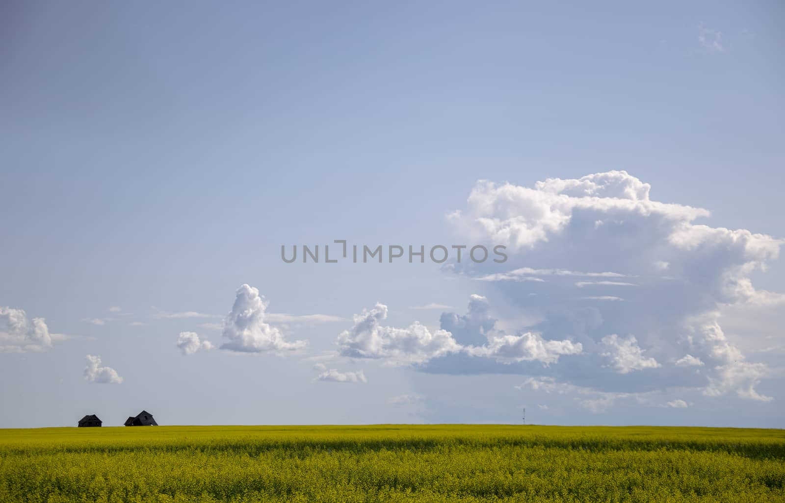 Prairie Storm Clouds Canada Saskatchewan Dramatic Summer