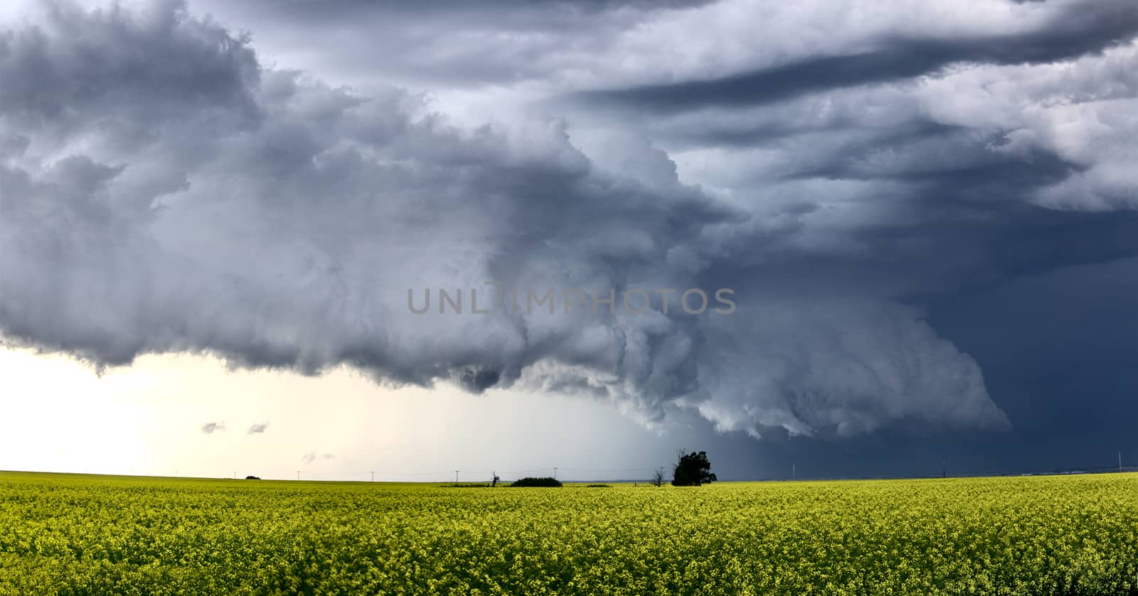 Prairie Storm Clouds Canada Saskatchewan Dramatic Summer