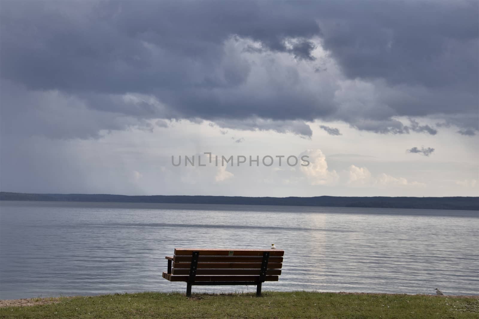Prairie Storm Clouds Canada Saskatchewan Dramatic Summer