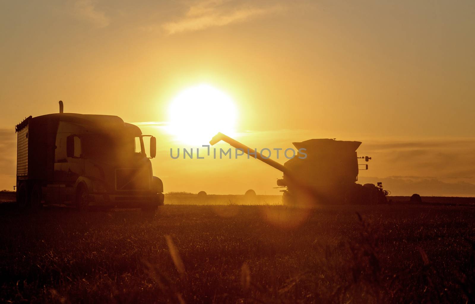 Harvest Sunset Canada Sasktchewan yellow sillouette combine