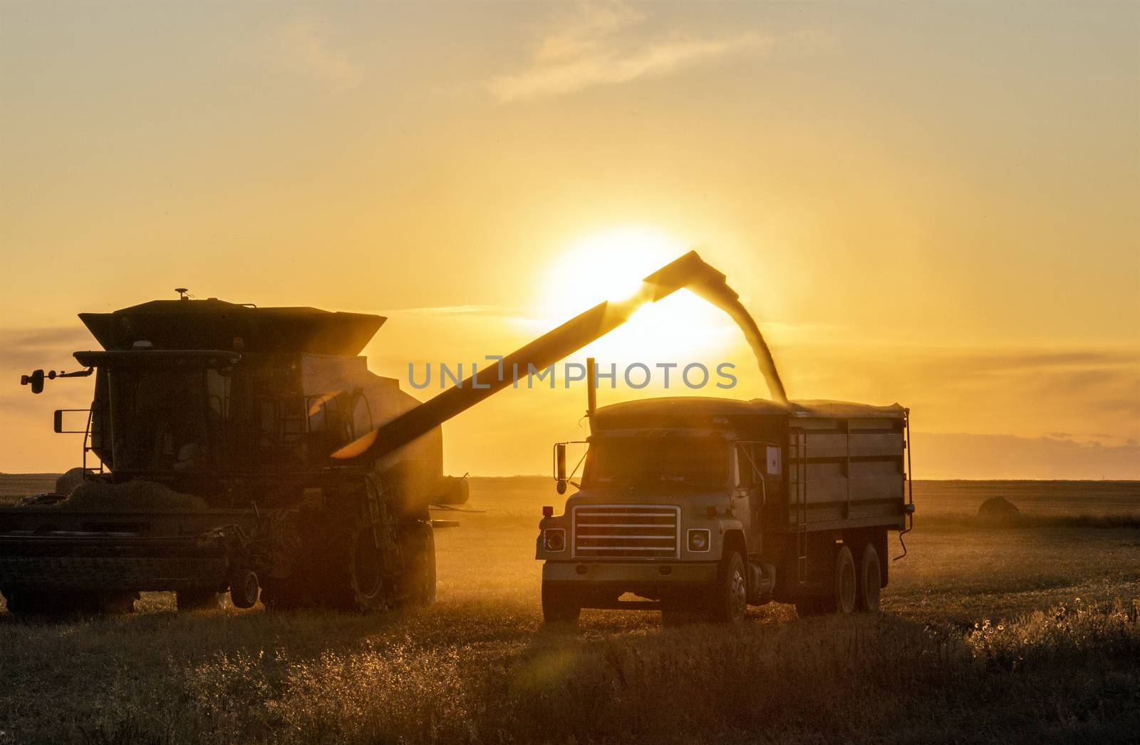 Harvest Sunset Canada Sasktchewan yellow sillouette combine