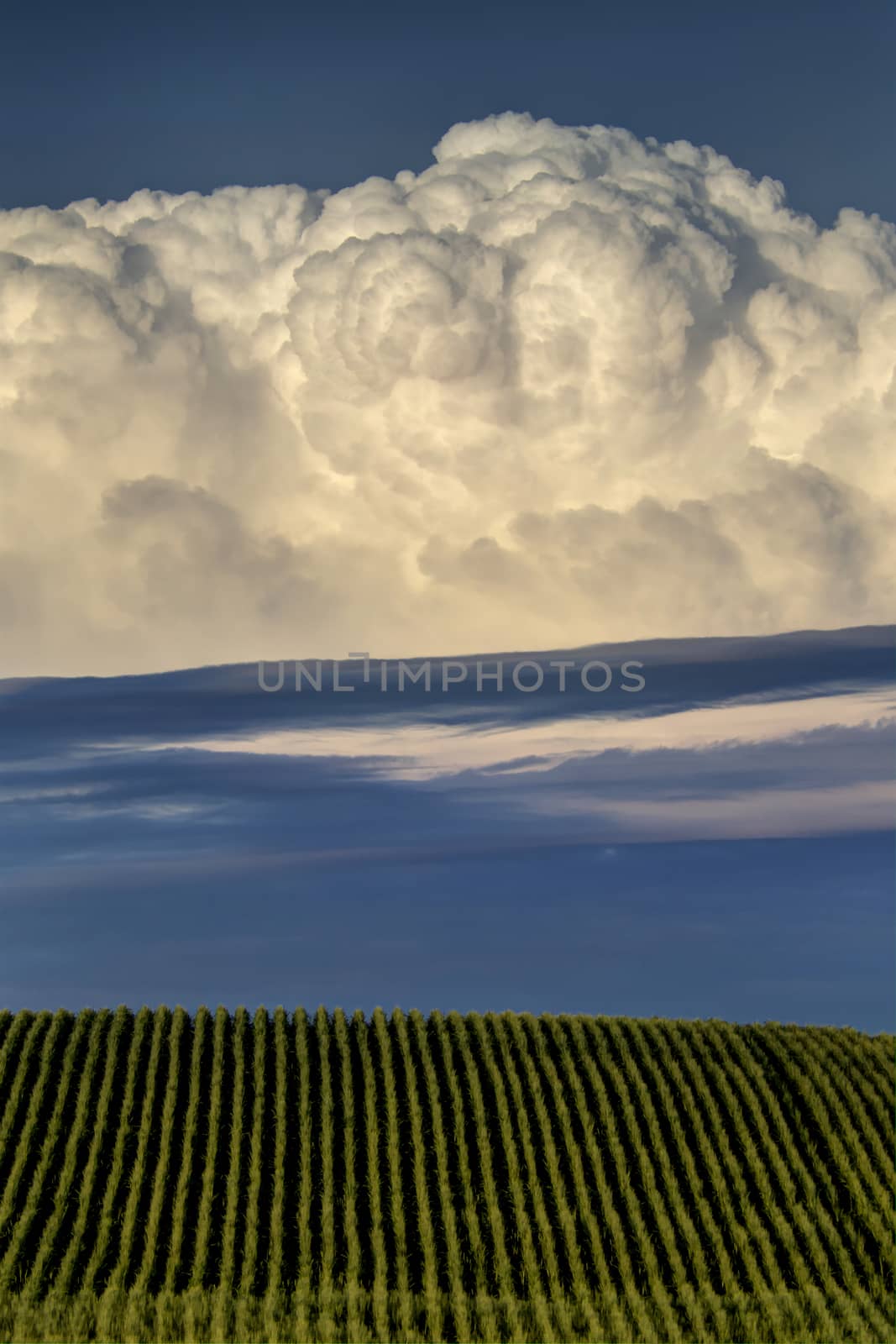 Prairie Storm Clouds Canada Saskatchewan Dramatic Summer