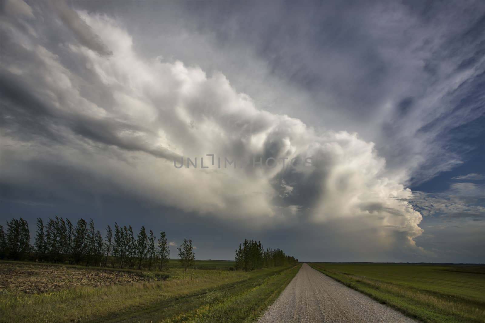Prairie Storm Clouds Canada Saskatchewan Dramatic Summer