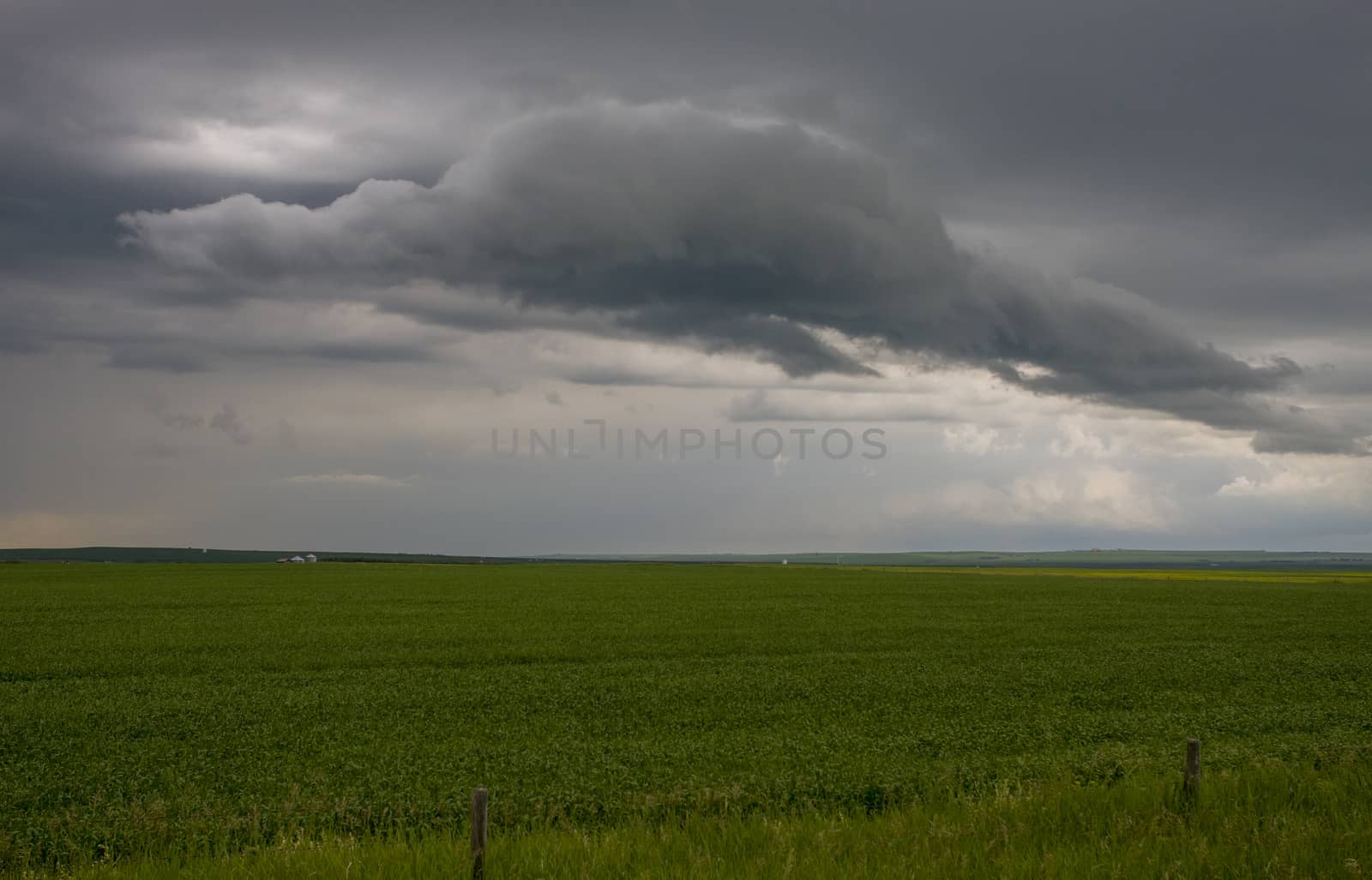 Prairie Storm Clouds Canada Saskatchewan Dramatic Summer