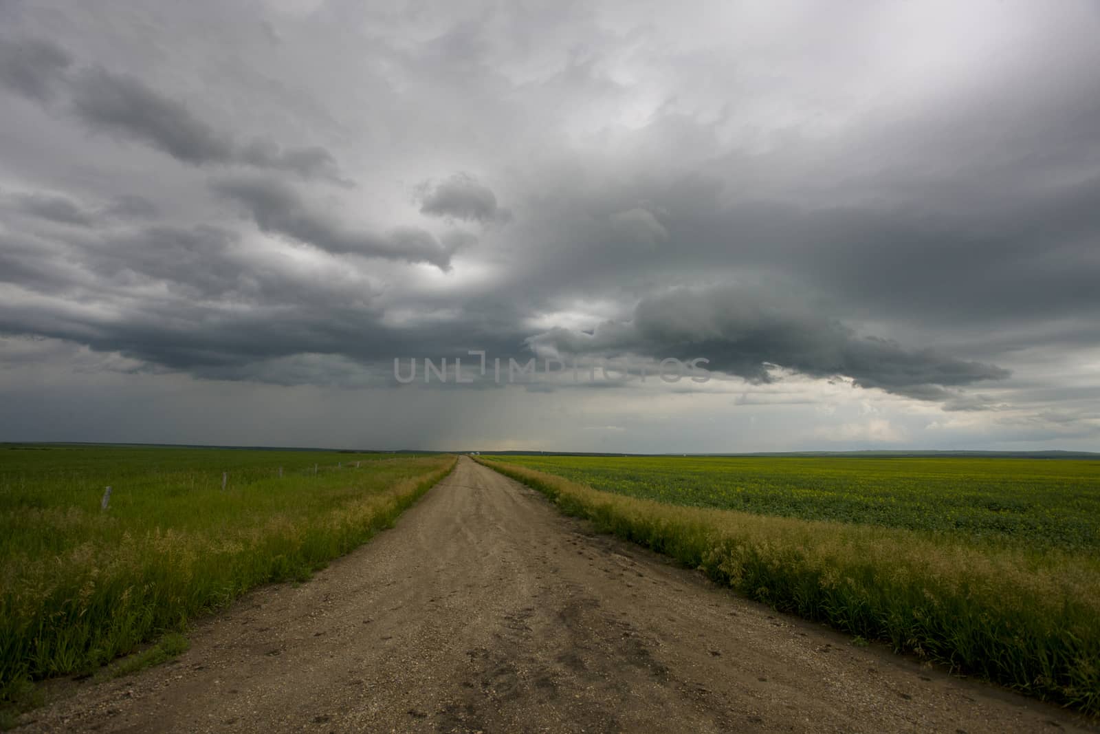 Prairie Storm Clouds Canada Saskatchewan Dramatic Summer
