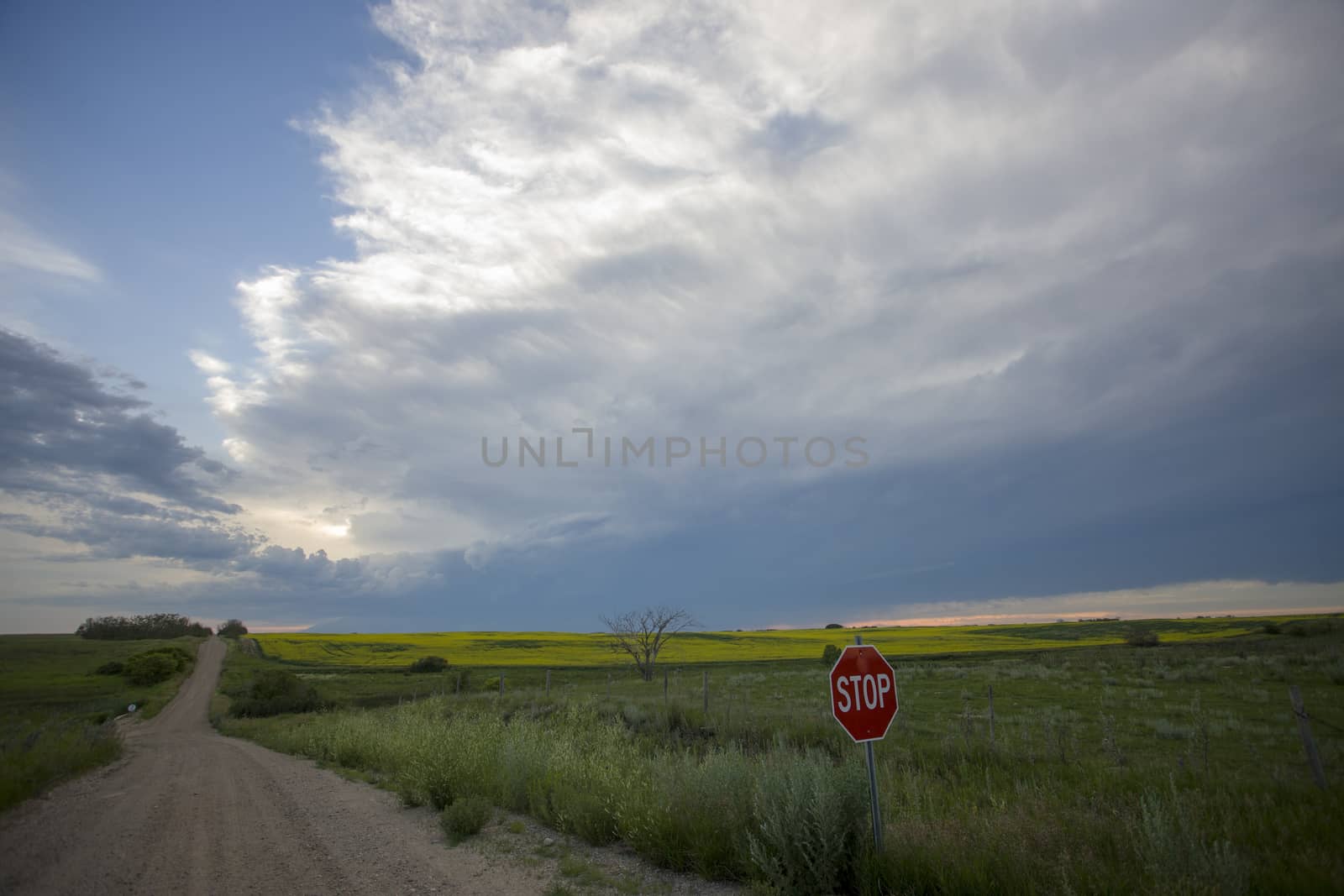 Prairie Storm Clouds Canada Saskatchewan Dramatic Summer