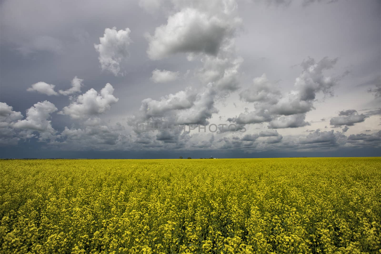 Prairie Storm Clouds Canada Saskatchewan Dramatic Summer