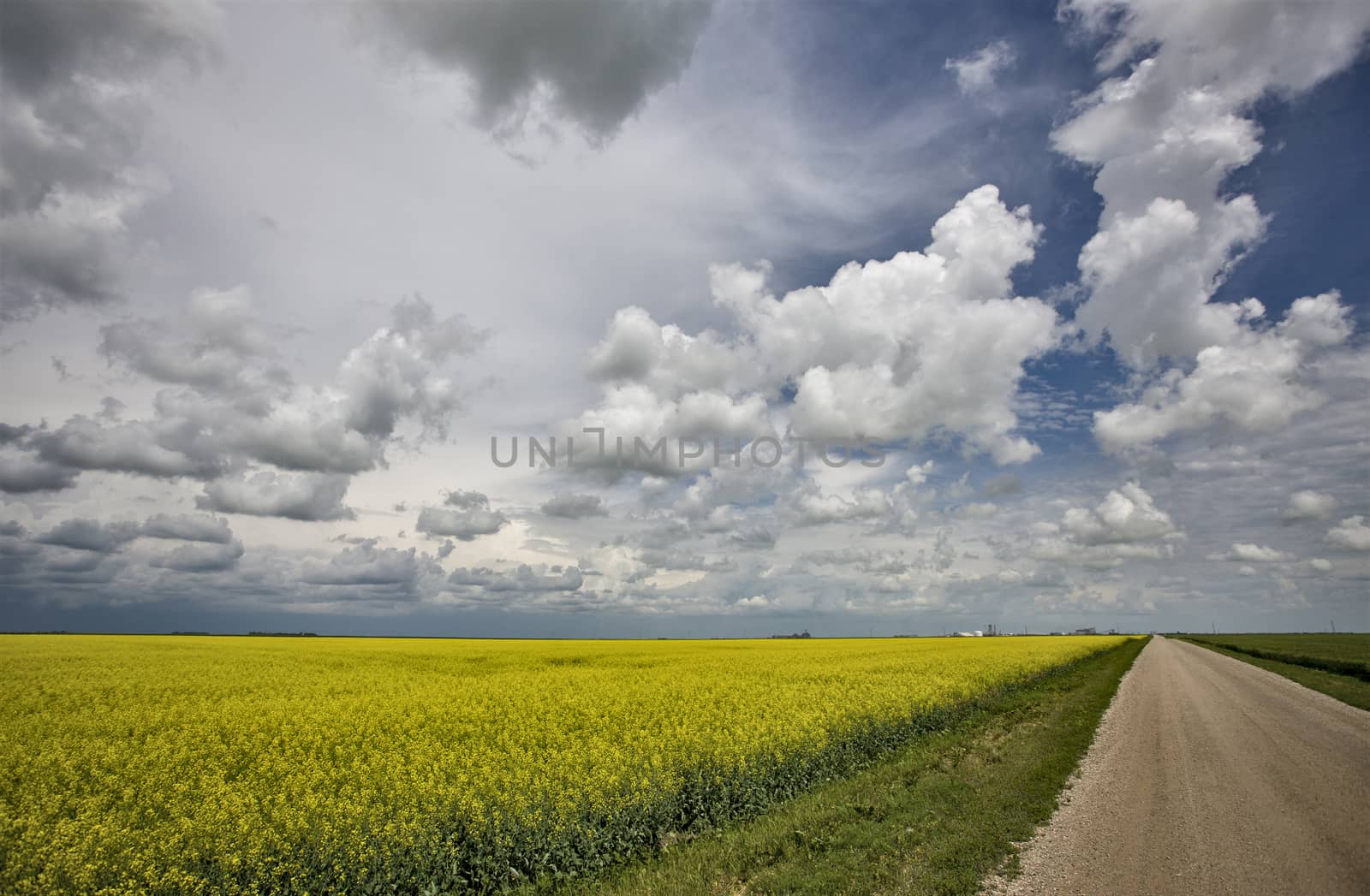 Prairie Storm Clouds Canada Saskatchewan Dramatic Summer