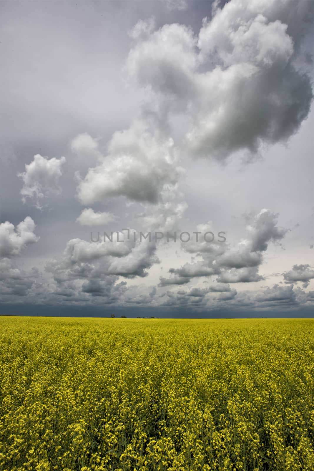 Prairie Storm Clouds Canada Saskatchewan Dramatic Summer