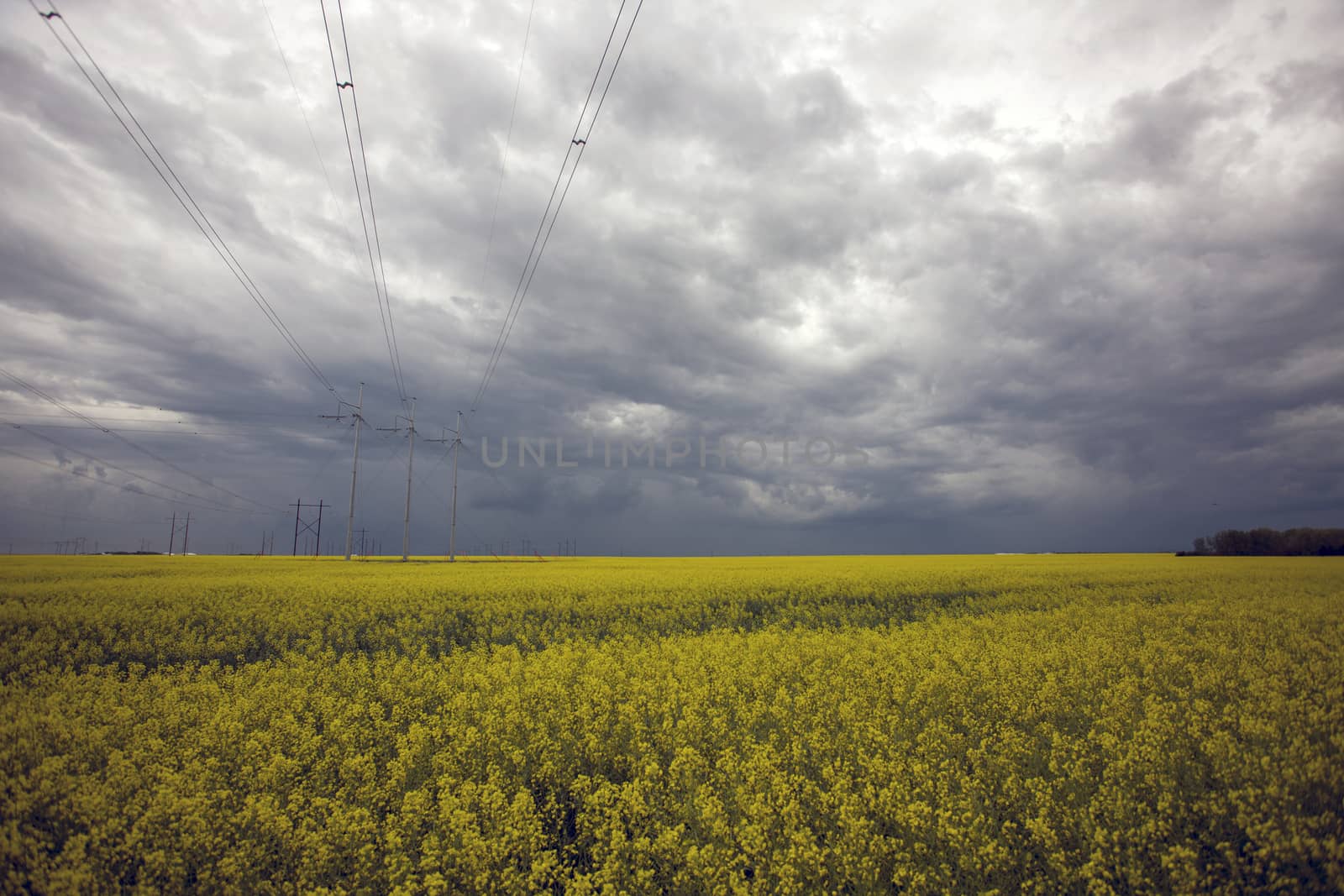 Prairie Storm Clouds Canada Saskatchewan Dramatic Summer