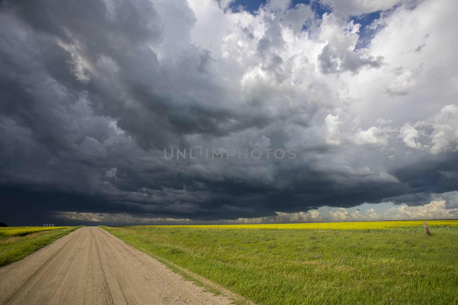 Prairie Storm Clouds Canada Saskatchewan Dramatic Summer