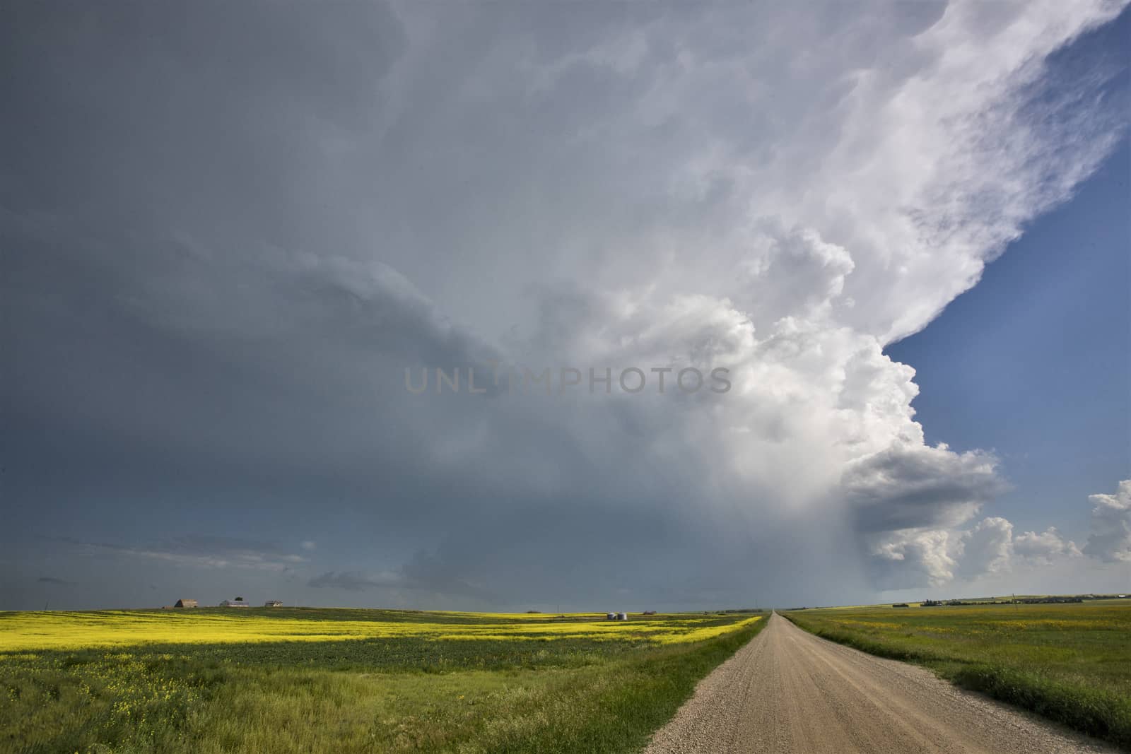 Prairie Storm Clouds Canada Saskatchewan Dramatic Summer