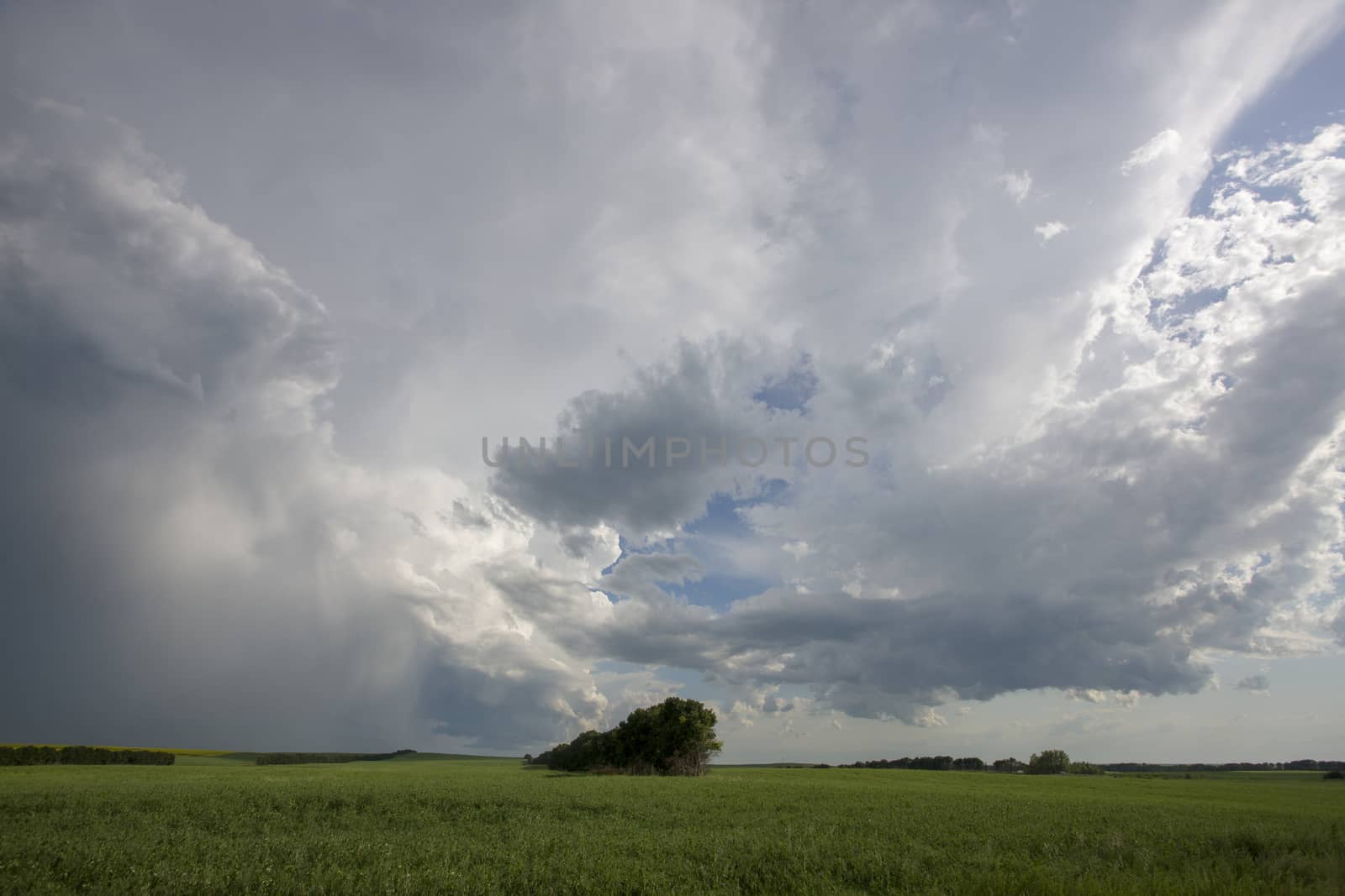 Prairie Storm Clouds Canada Saskatchewan Dramatic Summer
