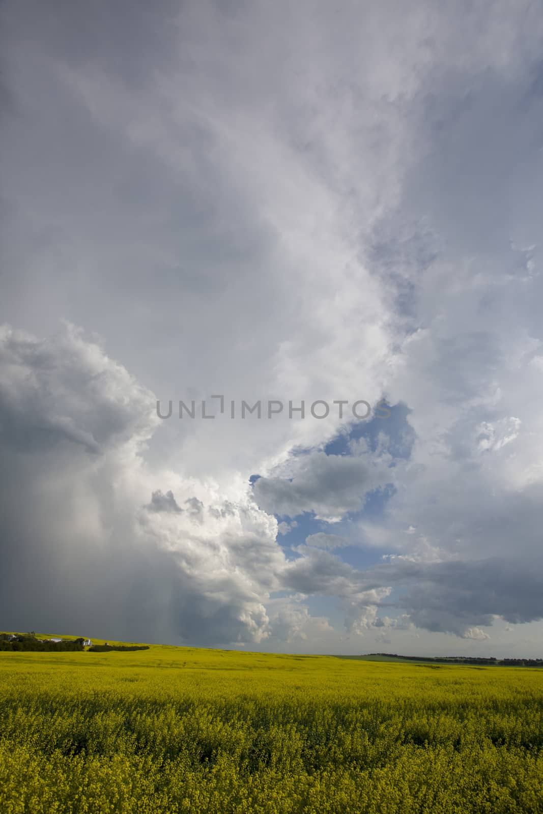 Prairie Storm Clouds Canada by pictureguy