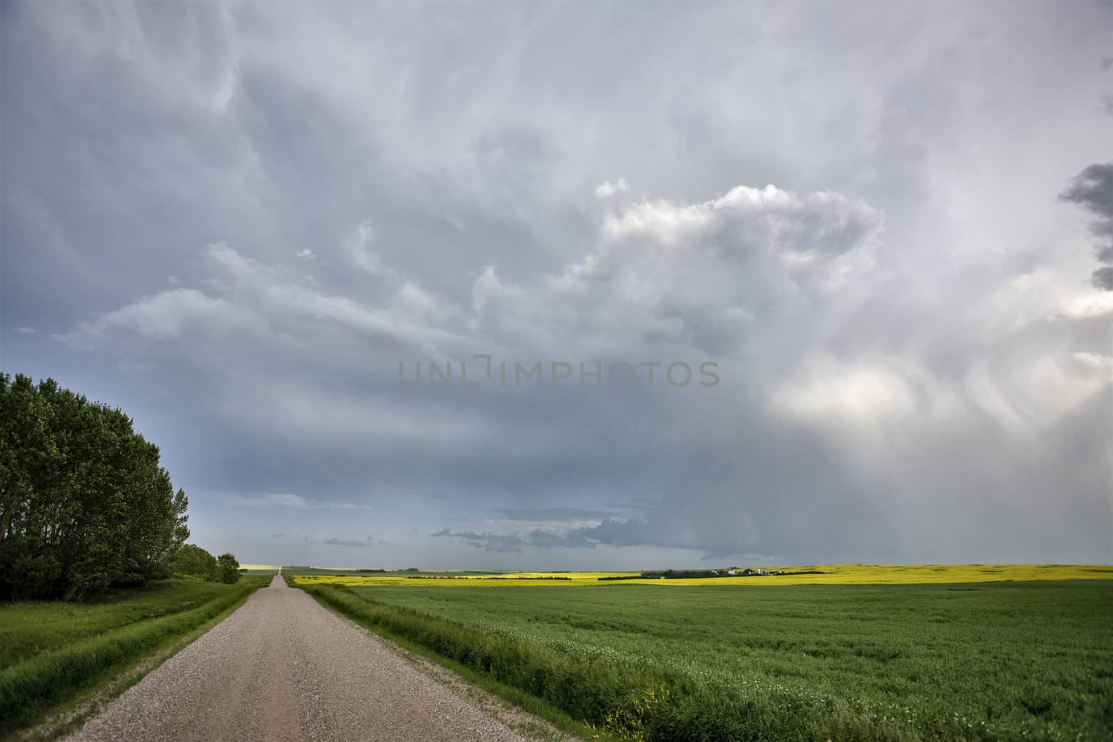 Prairie Storm Clouds Canada Saskatchewan Dramatic Summer