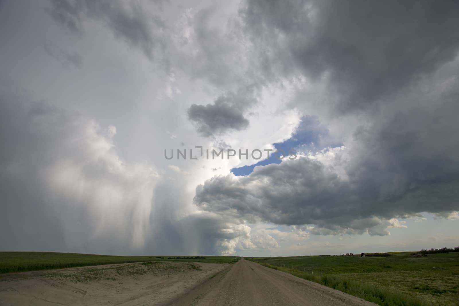 Prairie Storm Clouds Canada Saskatchewan Dramatic Summer