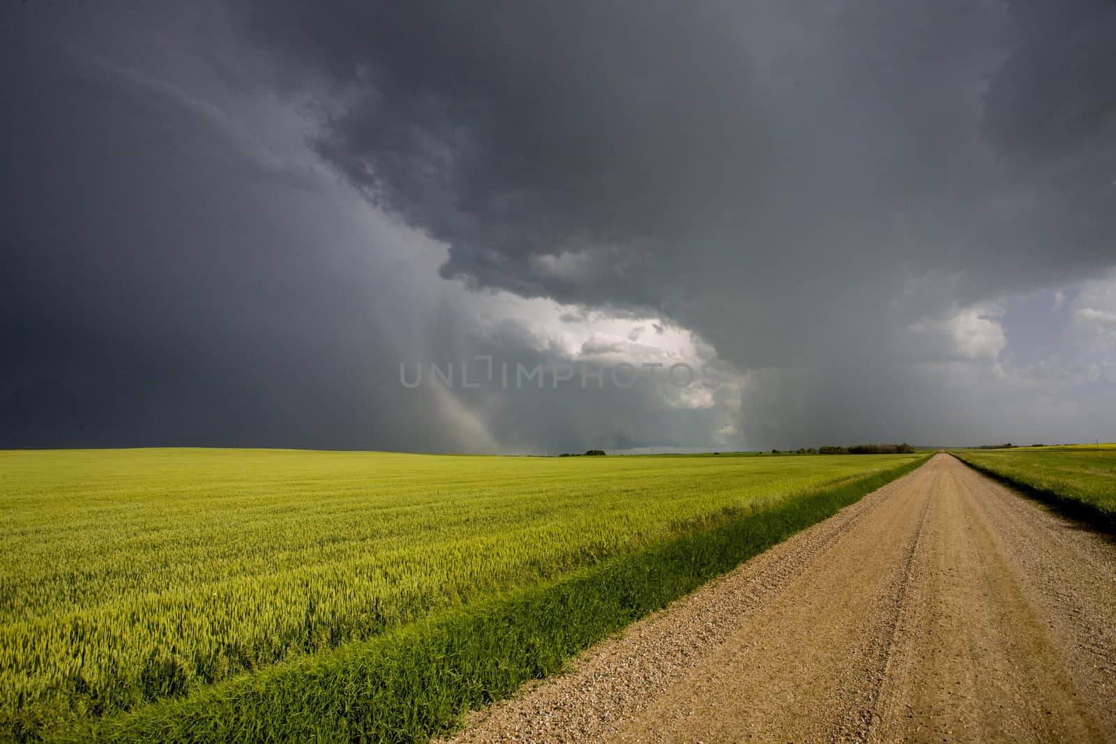 Prairie Storm Clouds Canada Saskatchewan Dramatic Summer