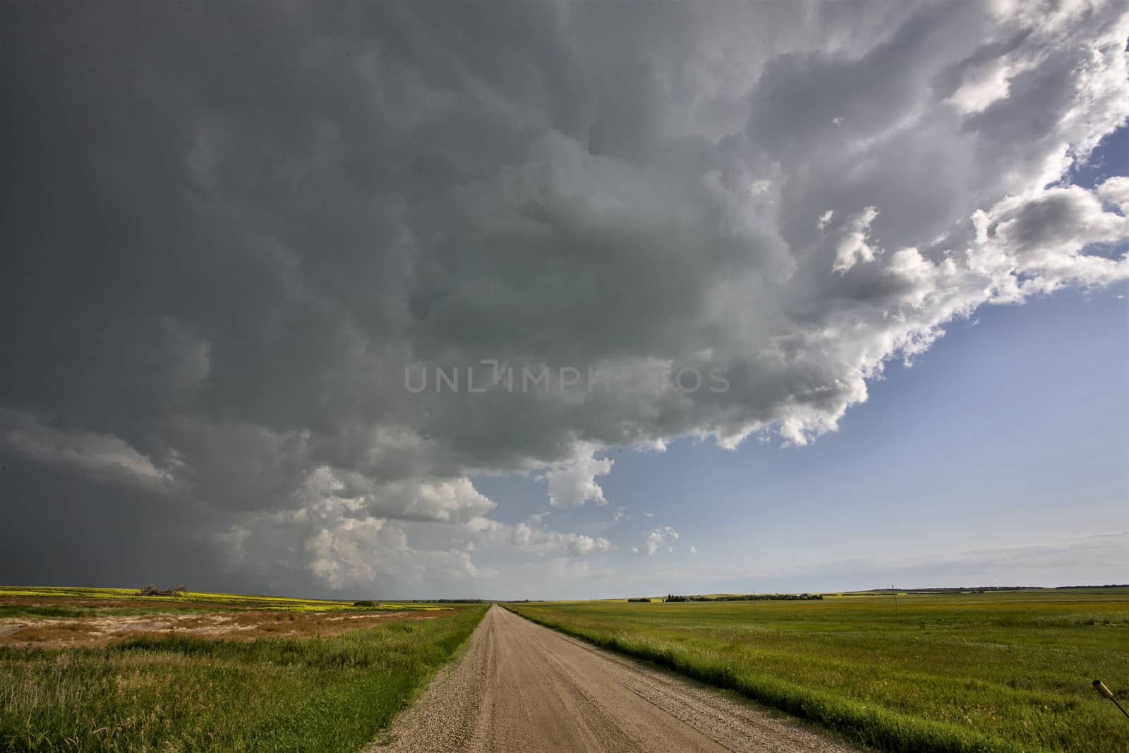 Prairie Storm Clouds Canada Saskatchewan Dramatic Summer