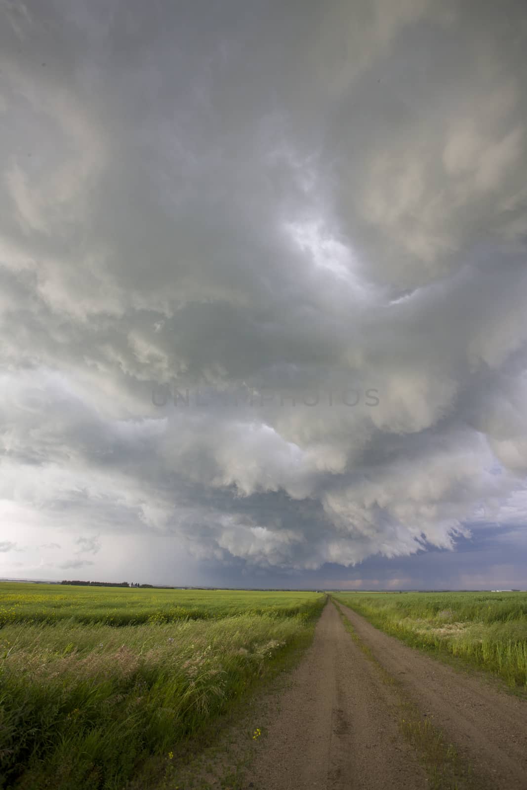 Prairie Storm Clouds Canada by pictureguy