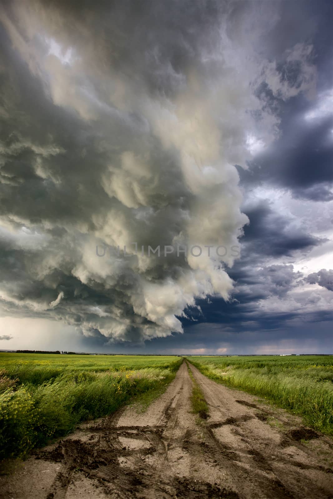 Prairie Storm Clouds Canada Saskatchewan Dramatic Summer