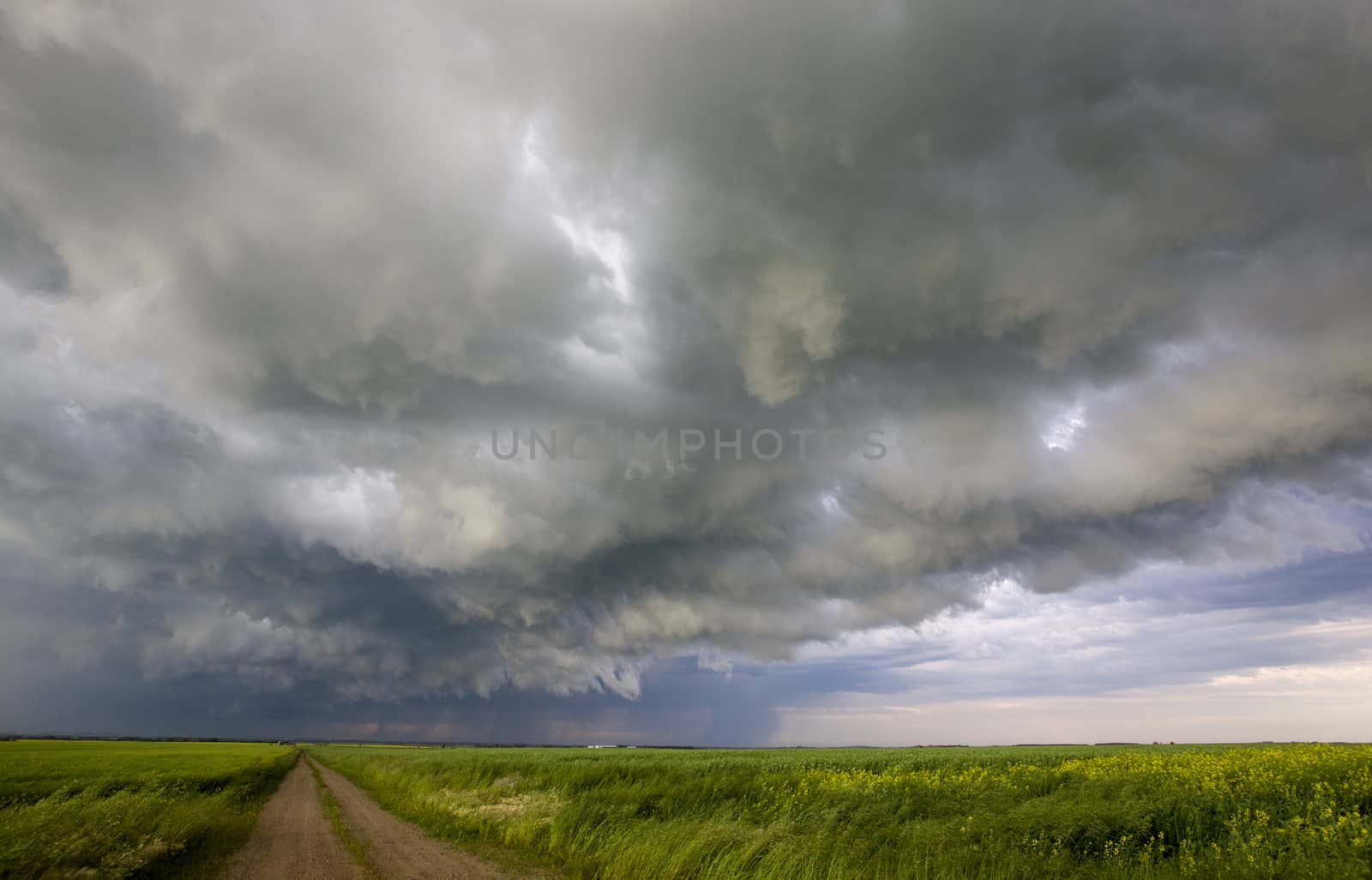 Prairie Storm Clouds Canada Saskatchewan Dramatic Summer