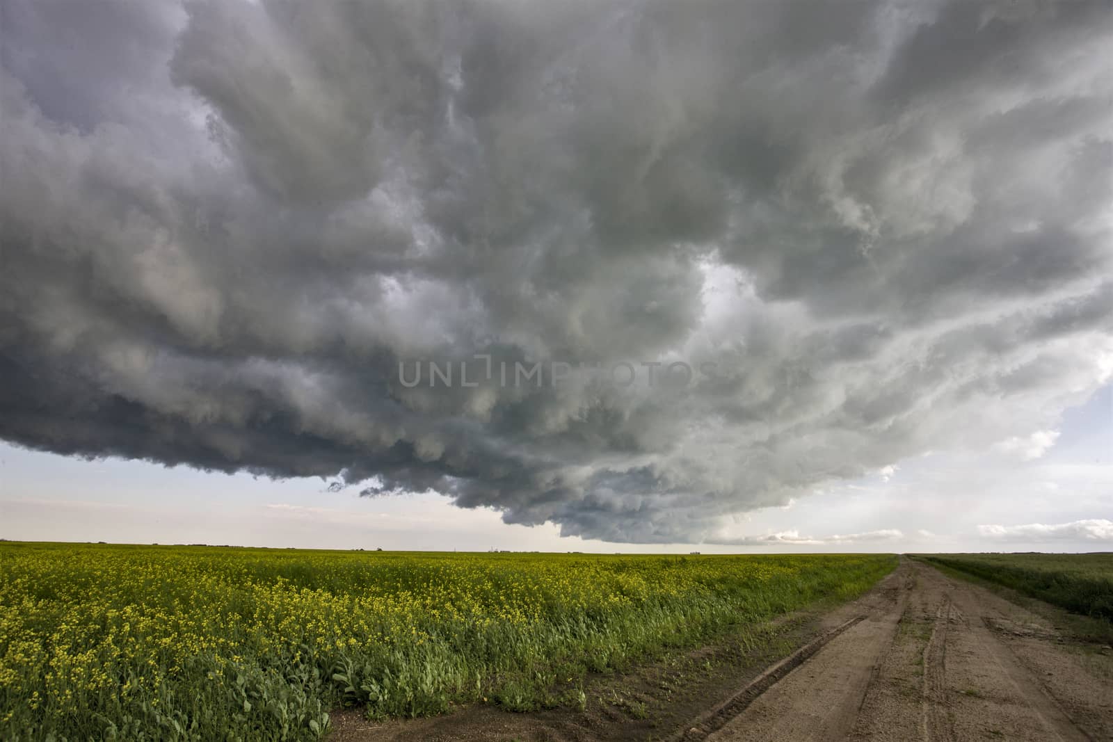 Prairie Storm Clouds Canada Saskatchewan Dramatic Summer