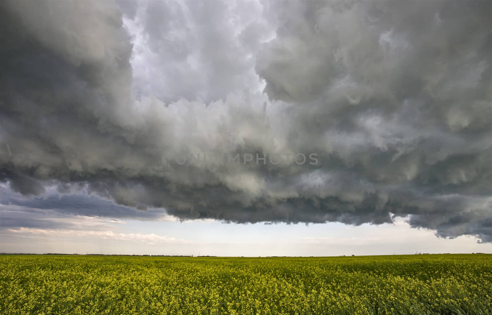 Prairie Storm Clouds Canada Saskatchewan Dramatic Summer