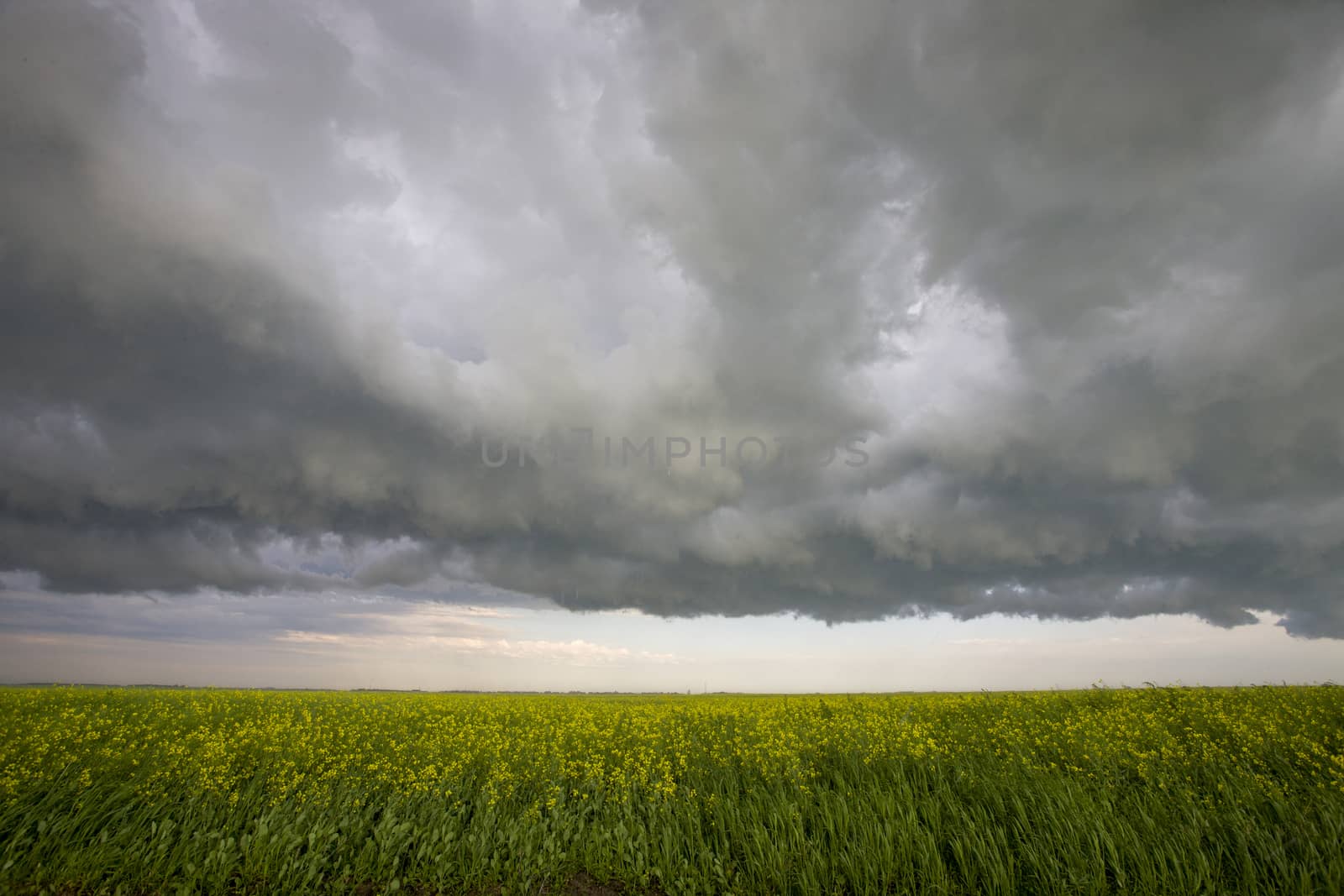 Prairie Storm Clouds Canada Saskatchewan Dramatic Summer