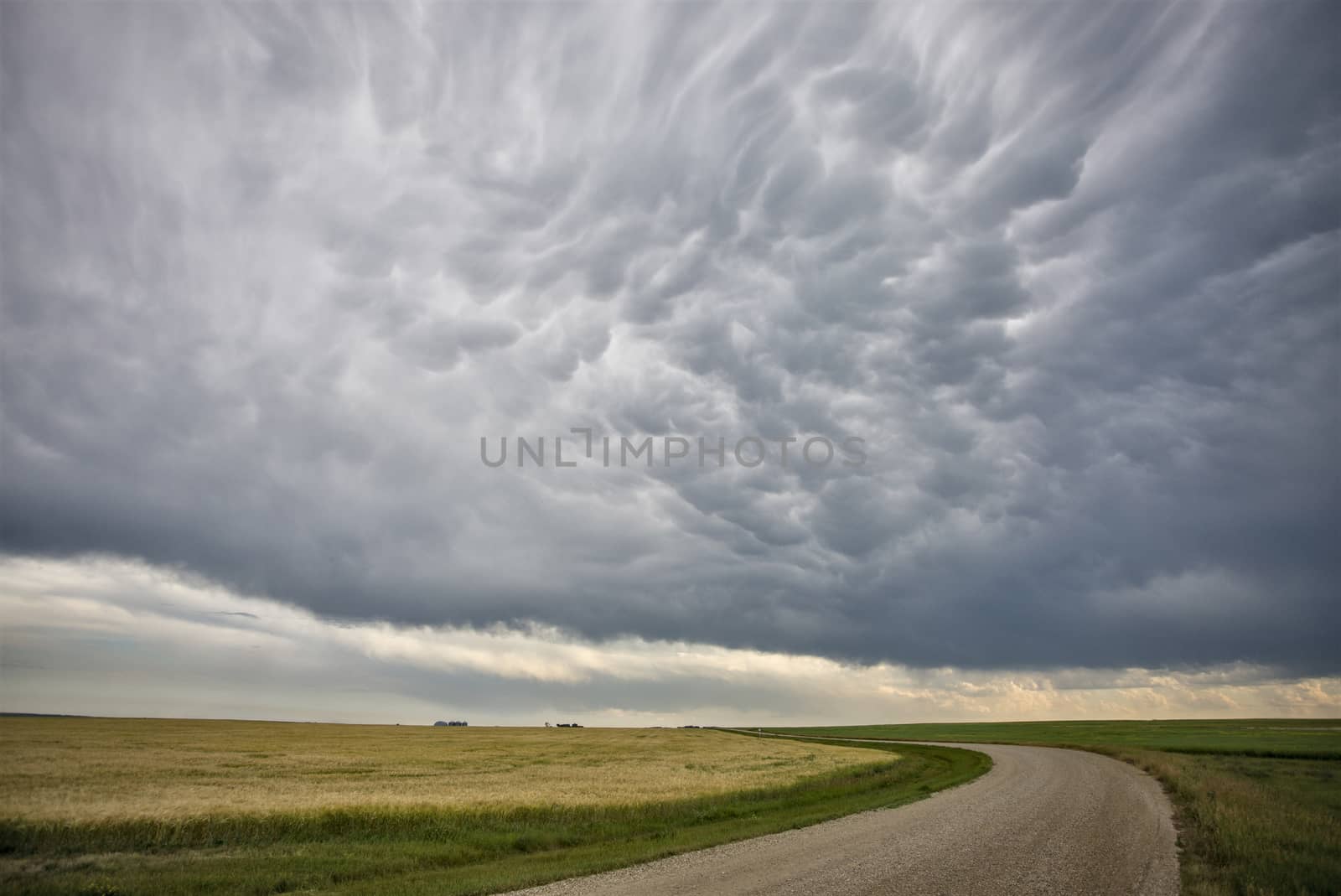 Prairie Storm Clouds Canada Saskatchewan Dramatic Summer