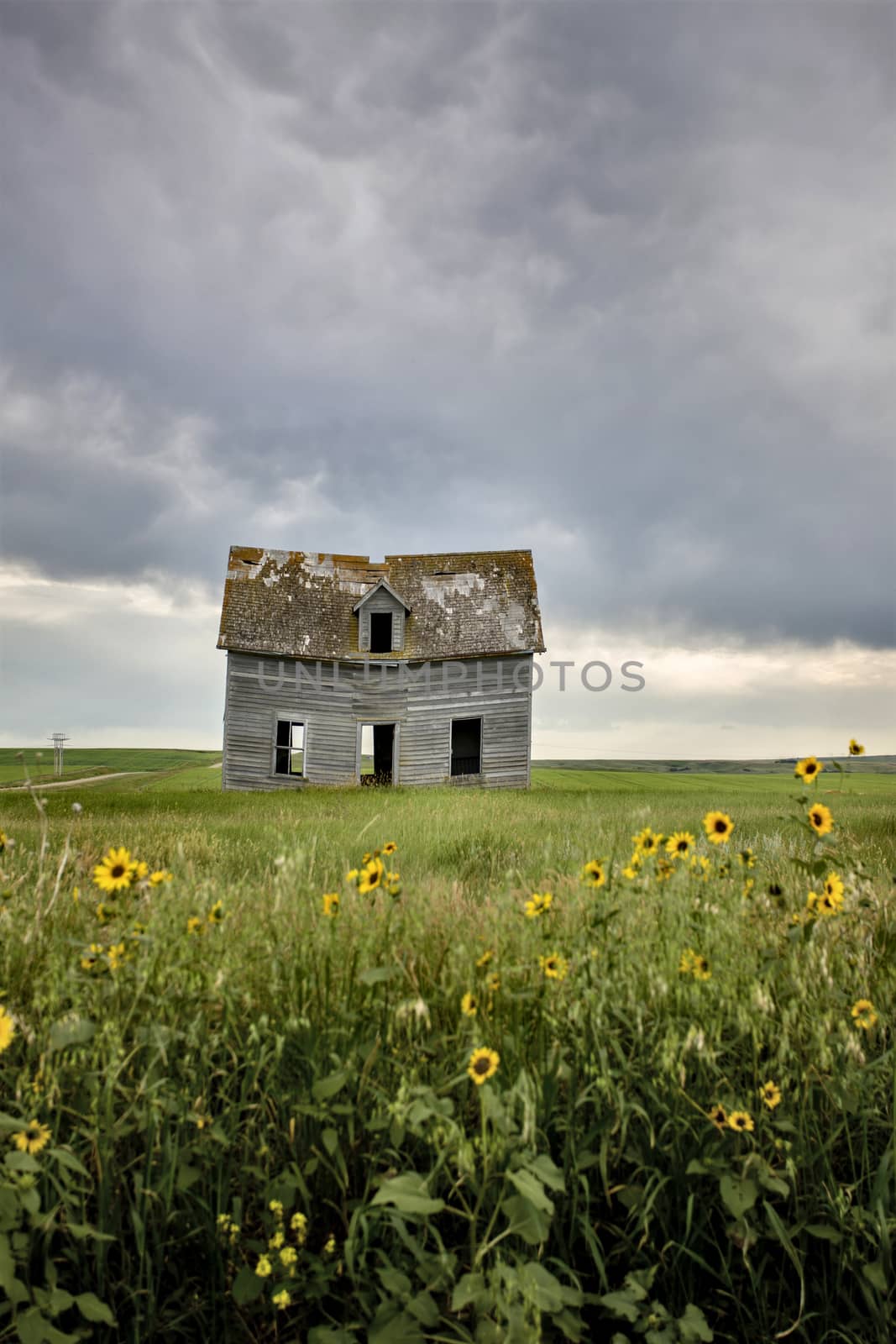 Prairie Storm Clouds Canada by pictureguy