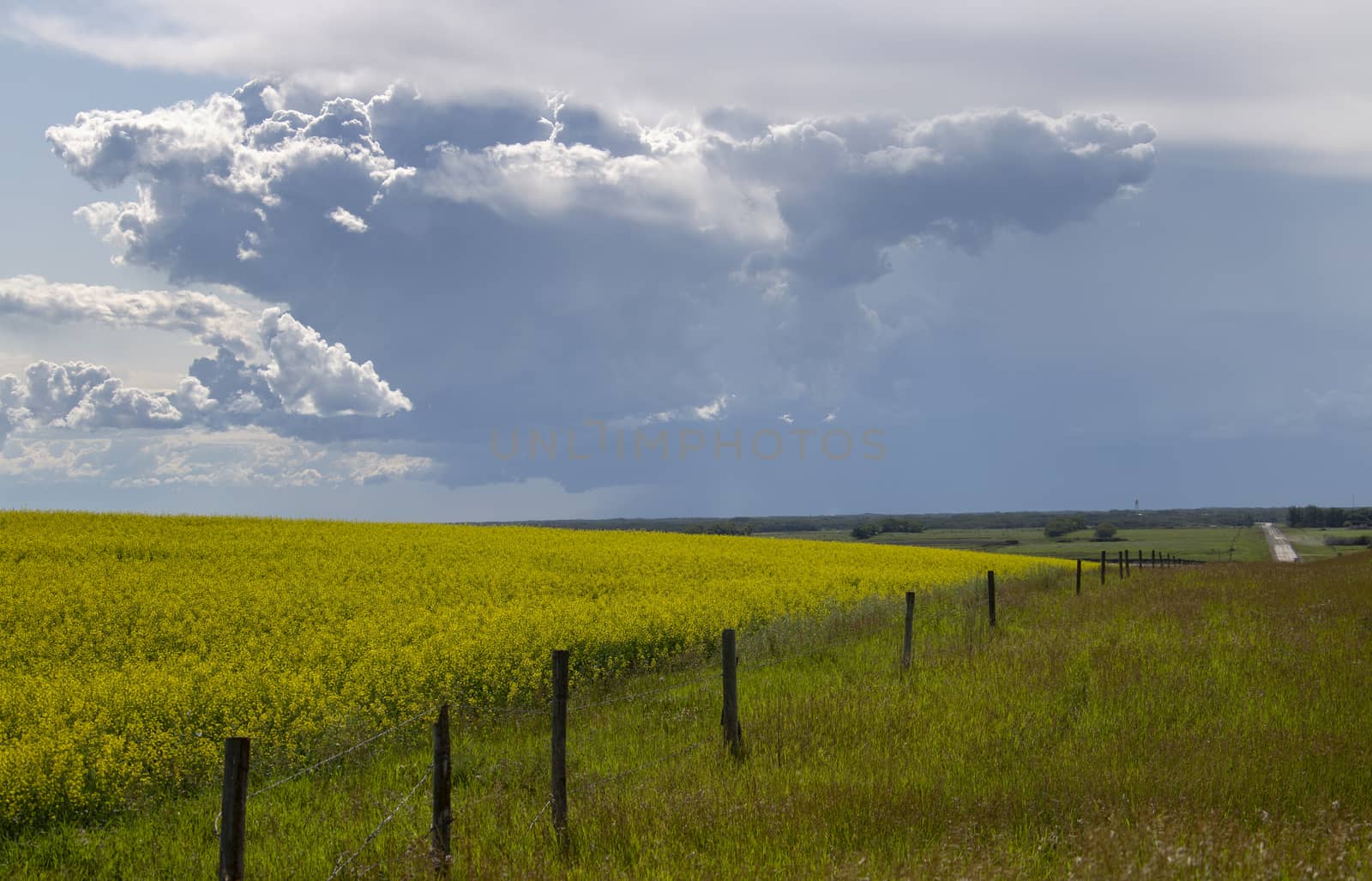 Prairie Storm Clouds Canada Saskatchewan Dramatic Summer