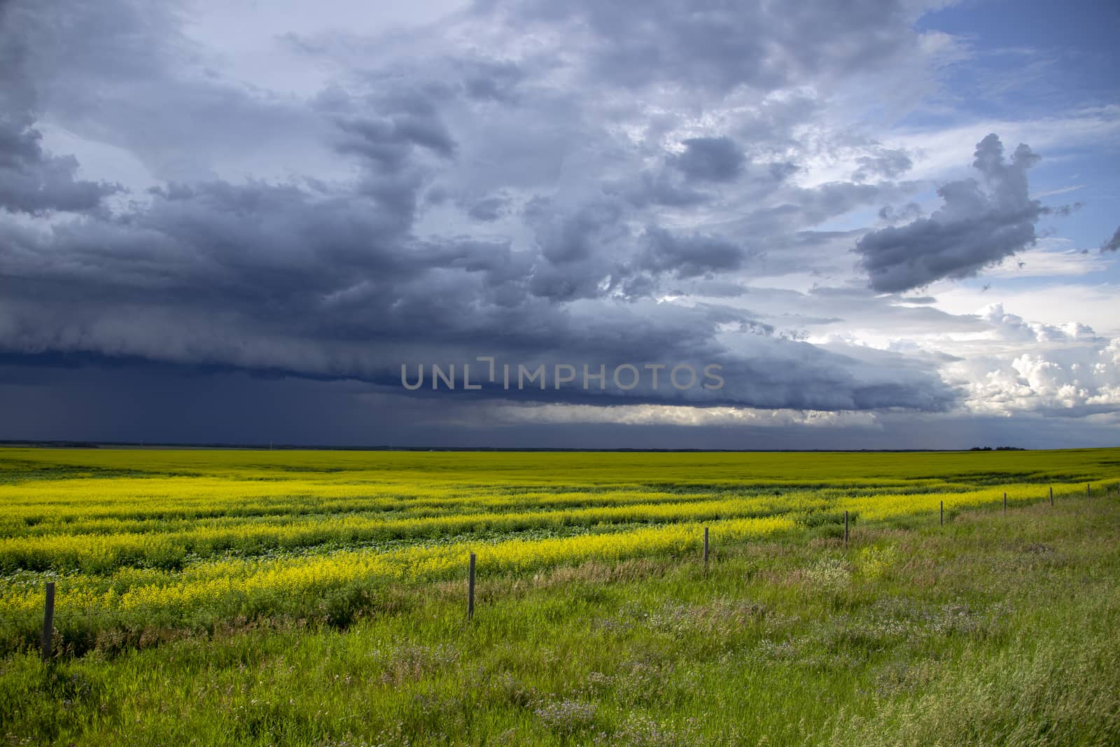 Prairie Storm Clouds Canada Saskatchewan Dramatic Summer
