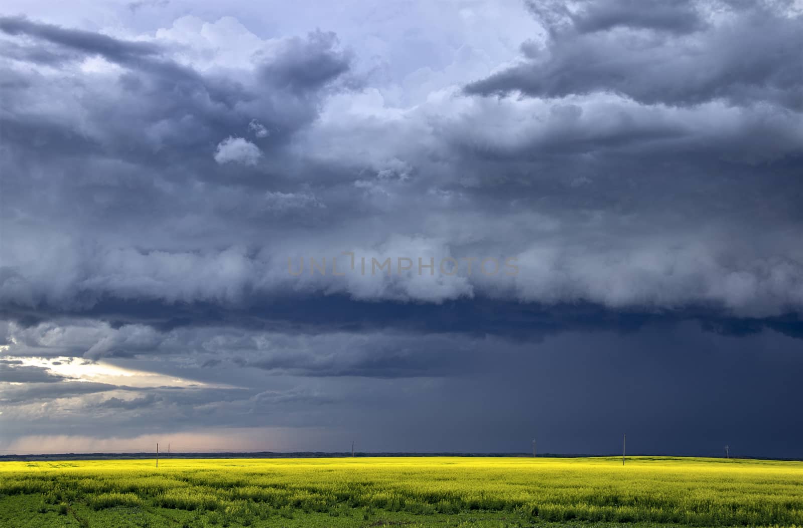 Prairie Storm Clouds Canada Saskatchewan Dramatic Summer