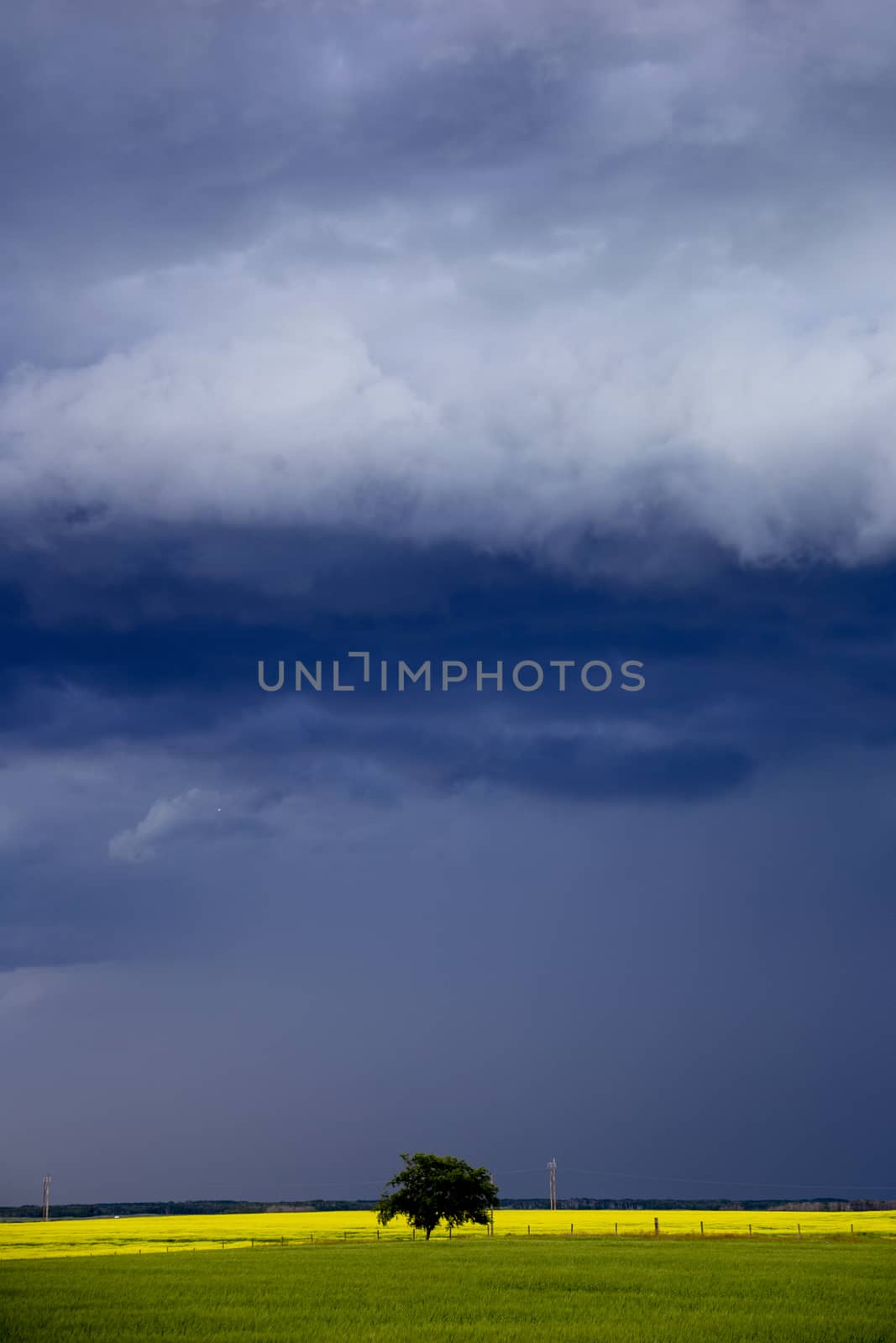 Prairie Storm Clouds Canada Saskatchewan Dramatic Summer