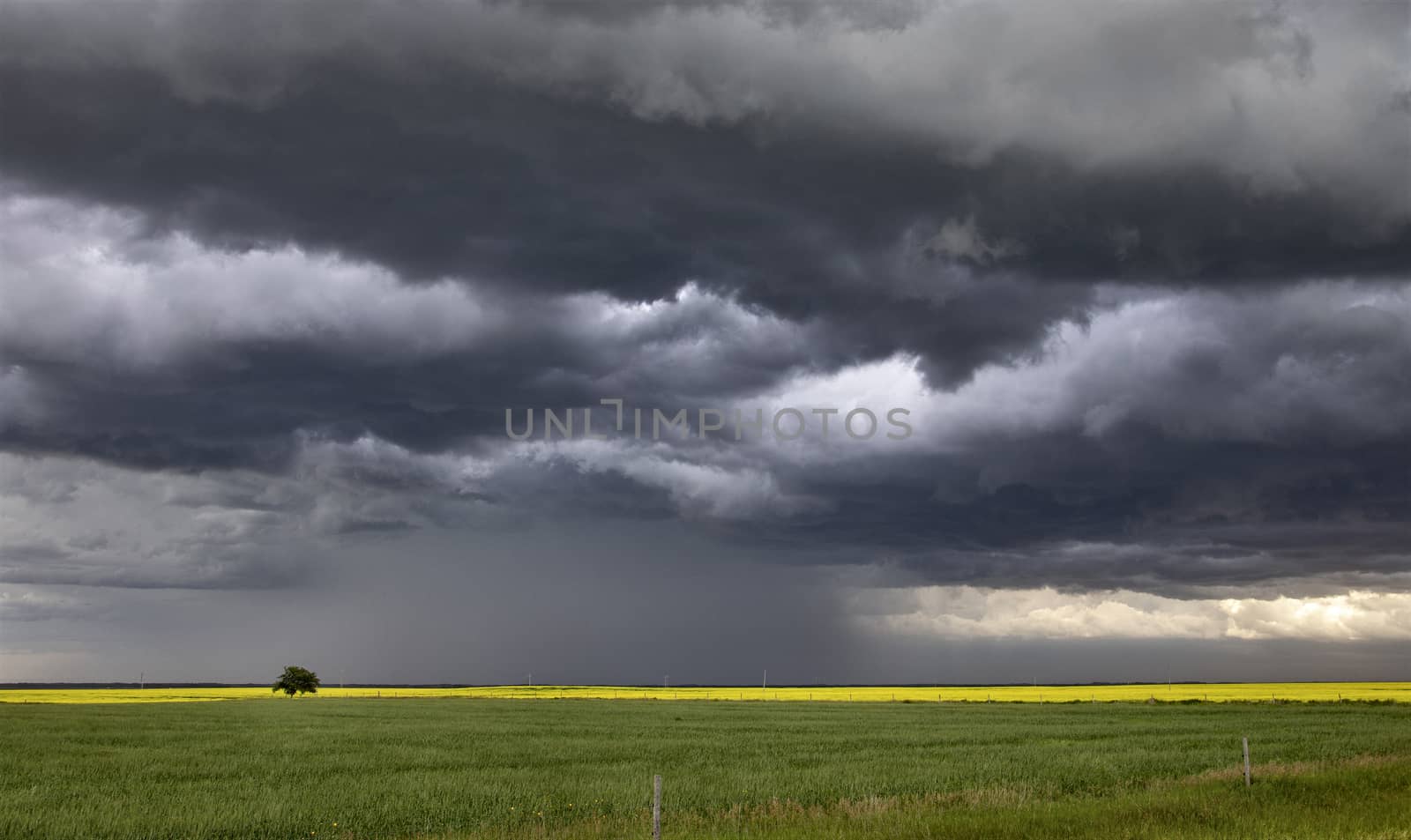 Prairie Storm Clouds Canada Saskatchewan Dramatic Summer
