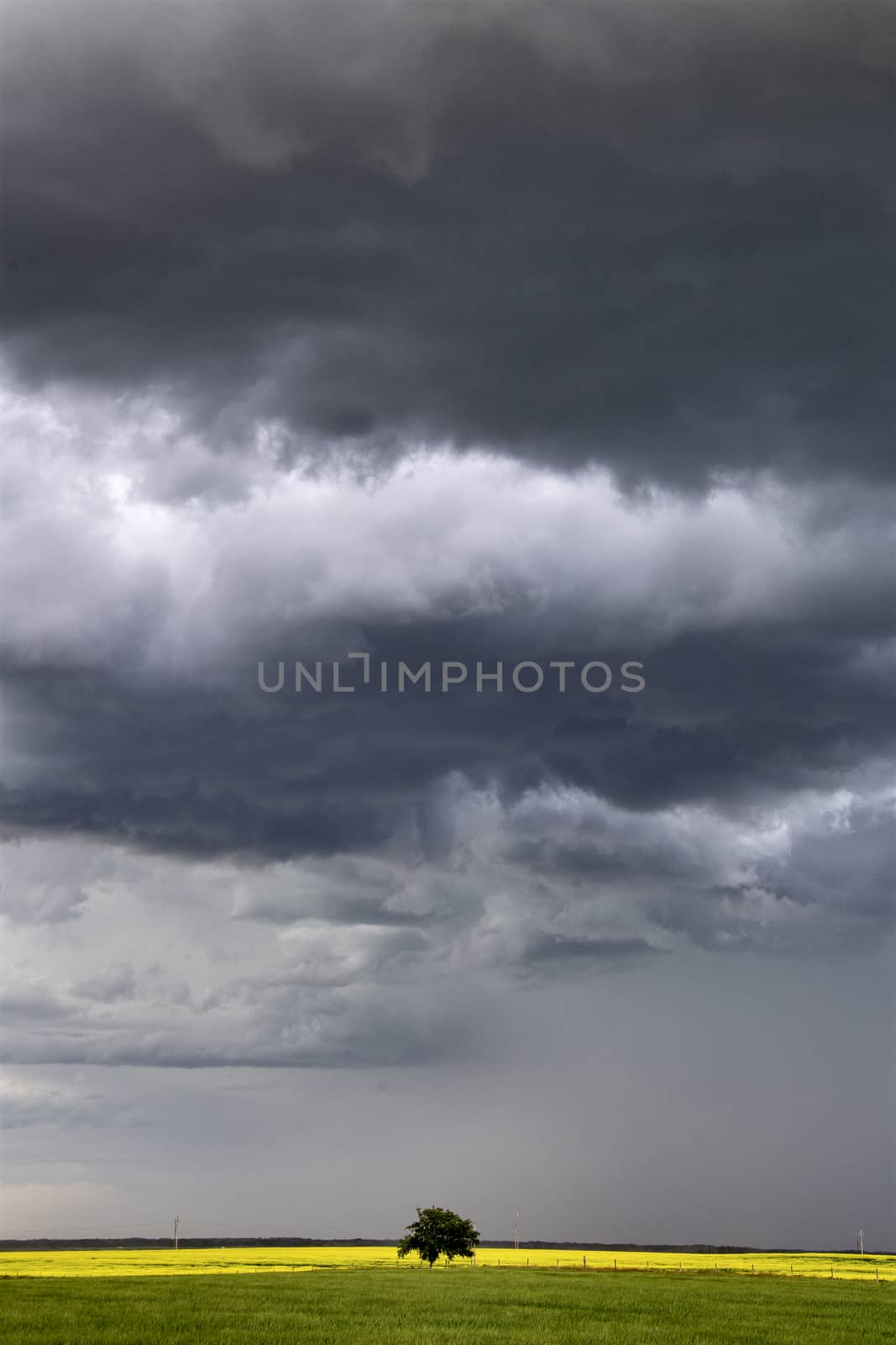 Prairie Storm Clouds Canada Saskatchewan Dramatic Summer