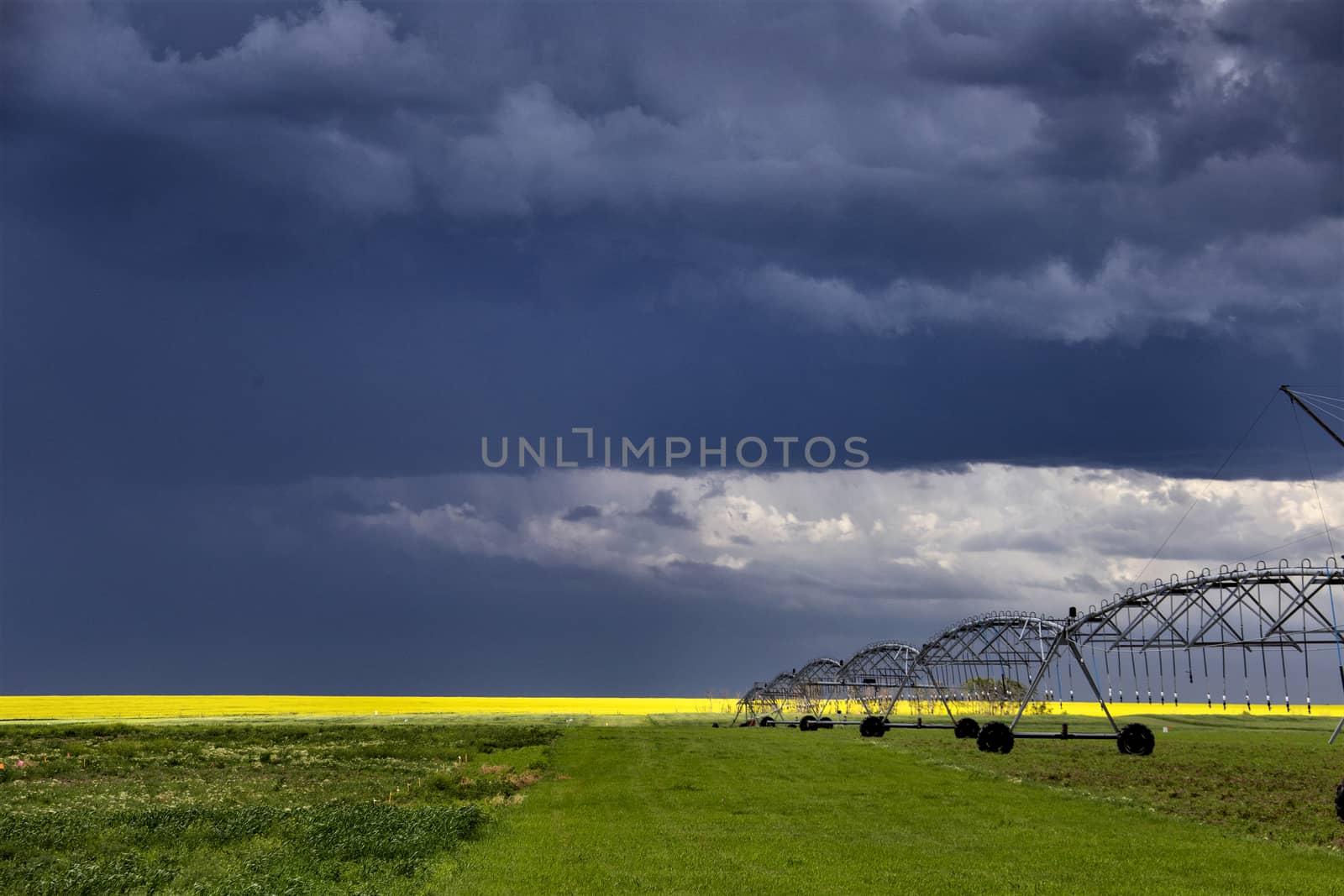 Prairie Storm Clouds Canada Saskatchewan Dramatic Summer