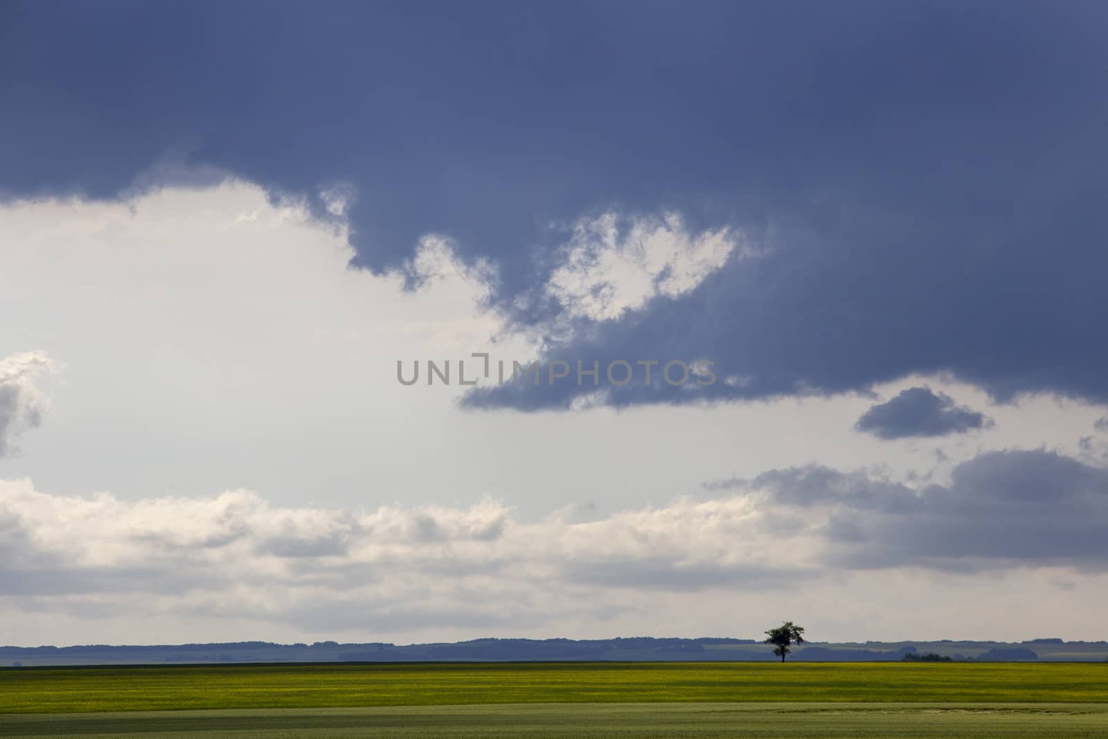 Prairie Storm Clouds Canada Saskatchewan Dramatic Summer