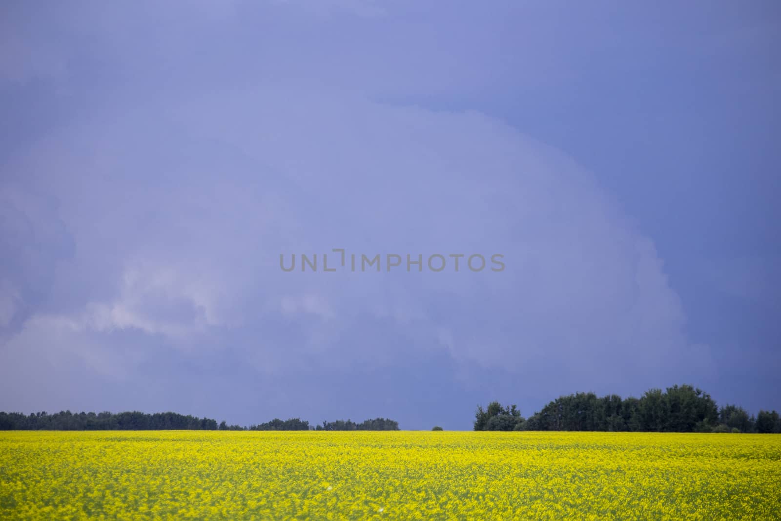 Prairie Storm Clouds Canada Saskatchewan Dramatic Summer