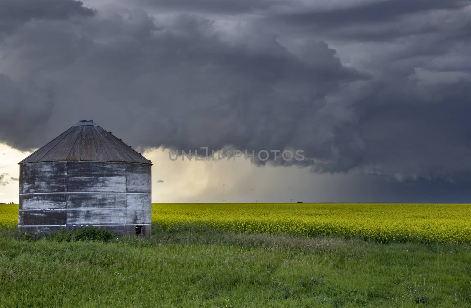 Prairie Storm Clouds Canada Saskatchewan Dramatic Summer