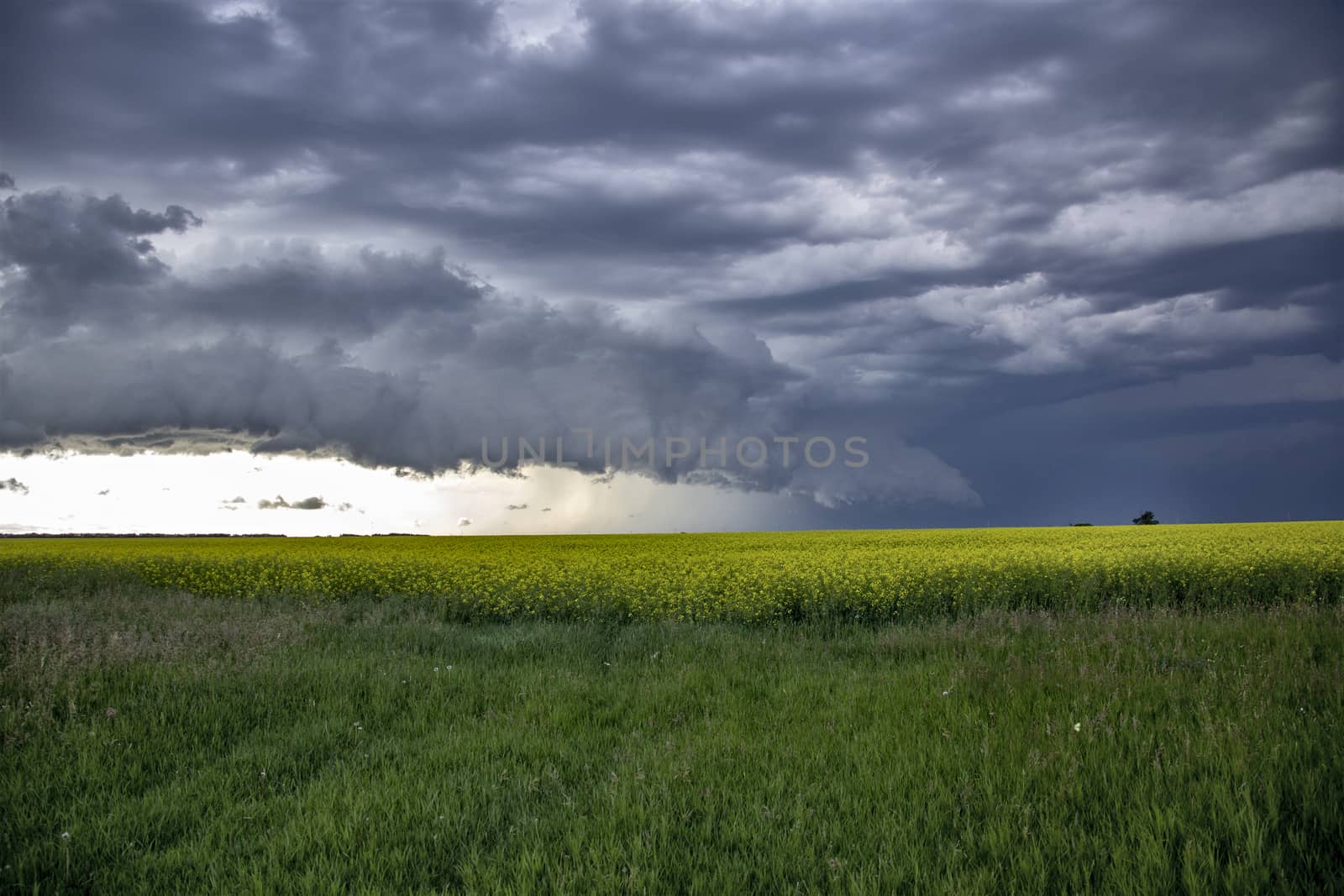 Prairie Storm Clouds Canada Saskatchewan Dramatic Summer