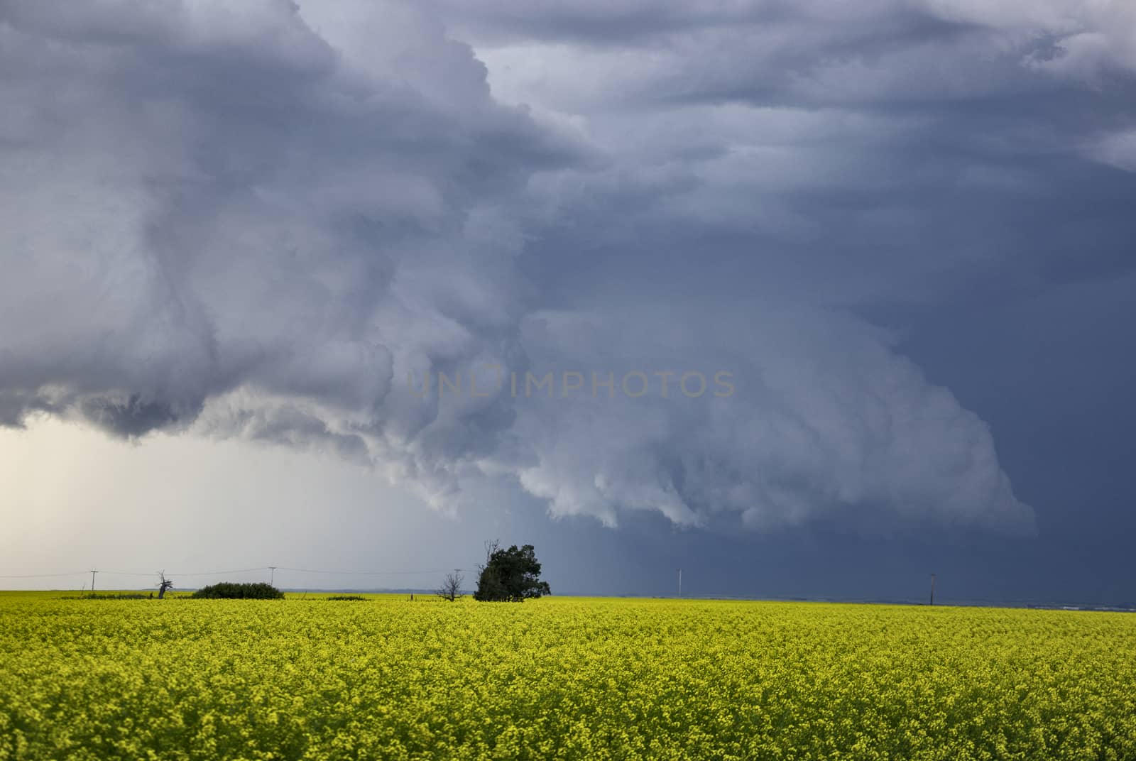 Prairie Storm Clouds Canada Saskatchewan Dramatic Summer