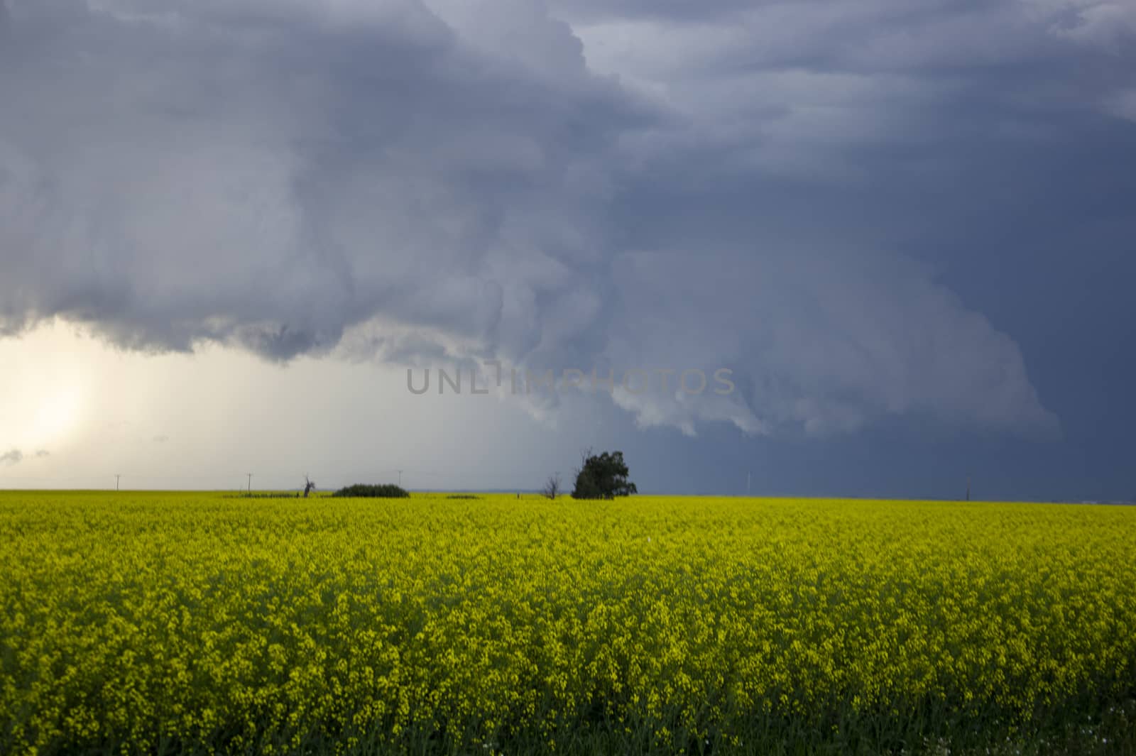 Prairie Storm Clouds Canada Saskatchewan Dramatic Summer