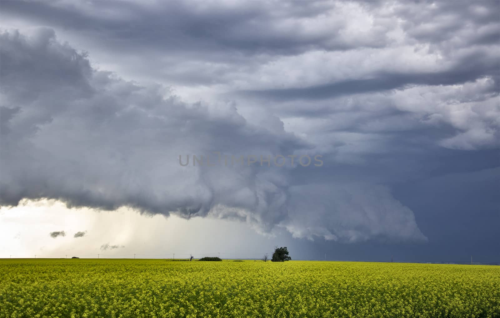 Prairie Storm Clouds Canada Saskatchewan Dramatic Summer