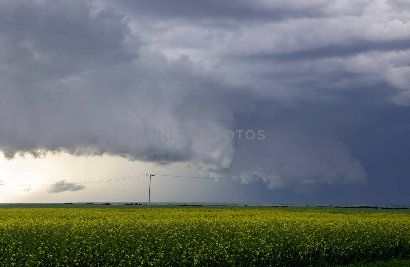 Prairie Storm Clouds Canada Saskatchewan Dramatic Summer