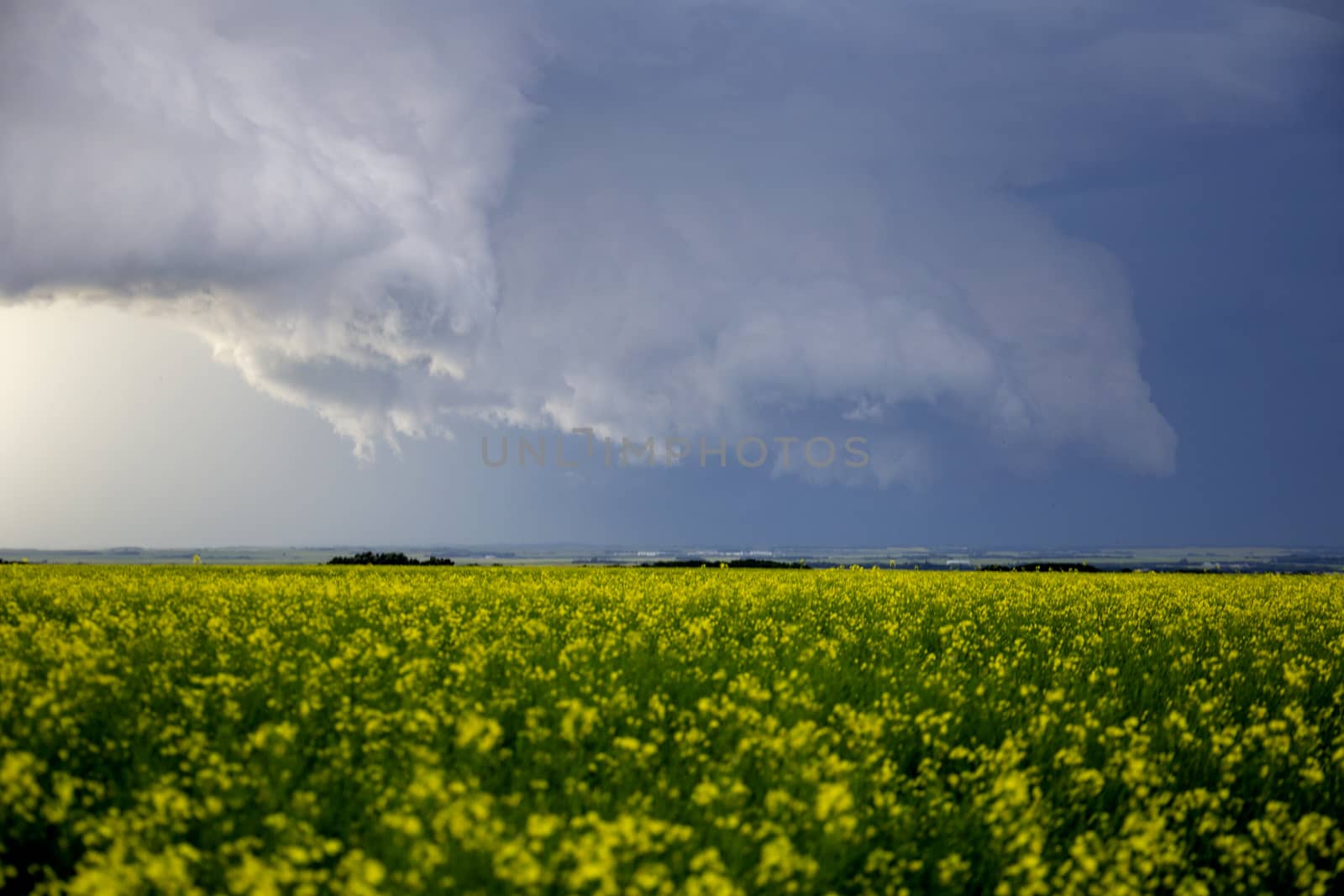 Prairie Storm Clouds Canada Saskatchewan Dramatic Summer