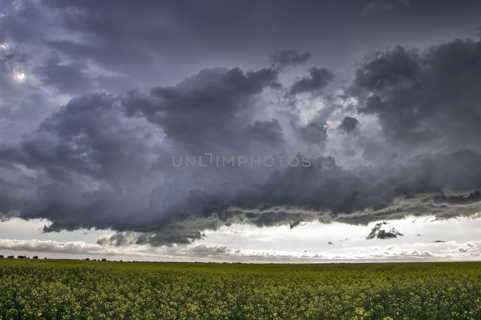 Prairie Storm Clouds Canada Saskatchewan Dramatic Summer