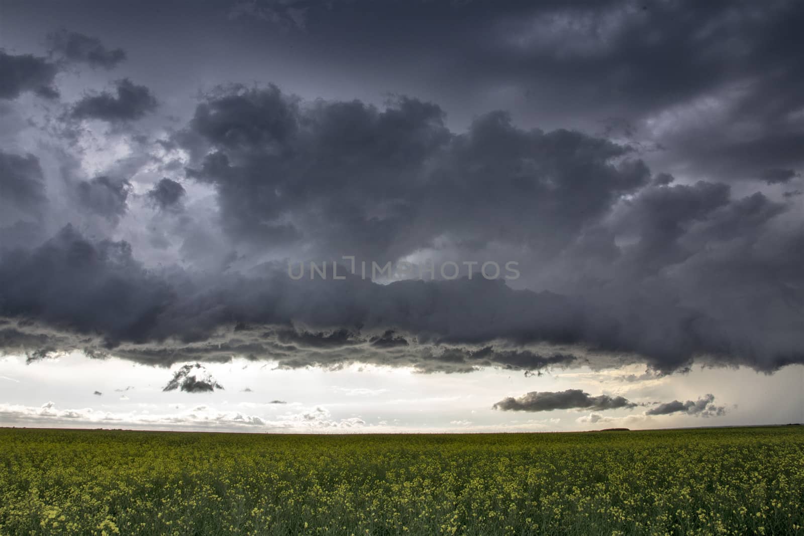 Prairie Storm Clouds Canada Saskatchewan Dramatic Summer