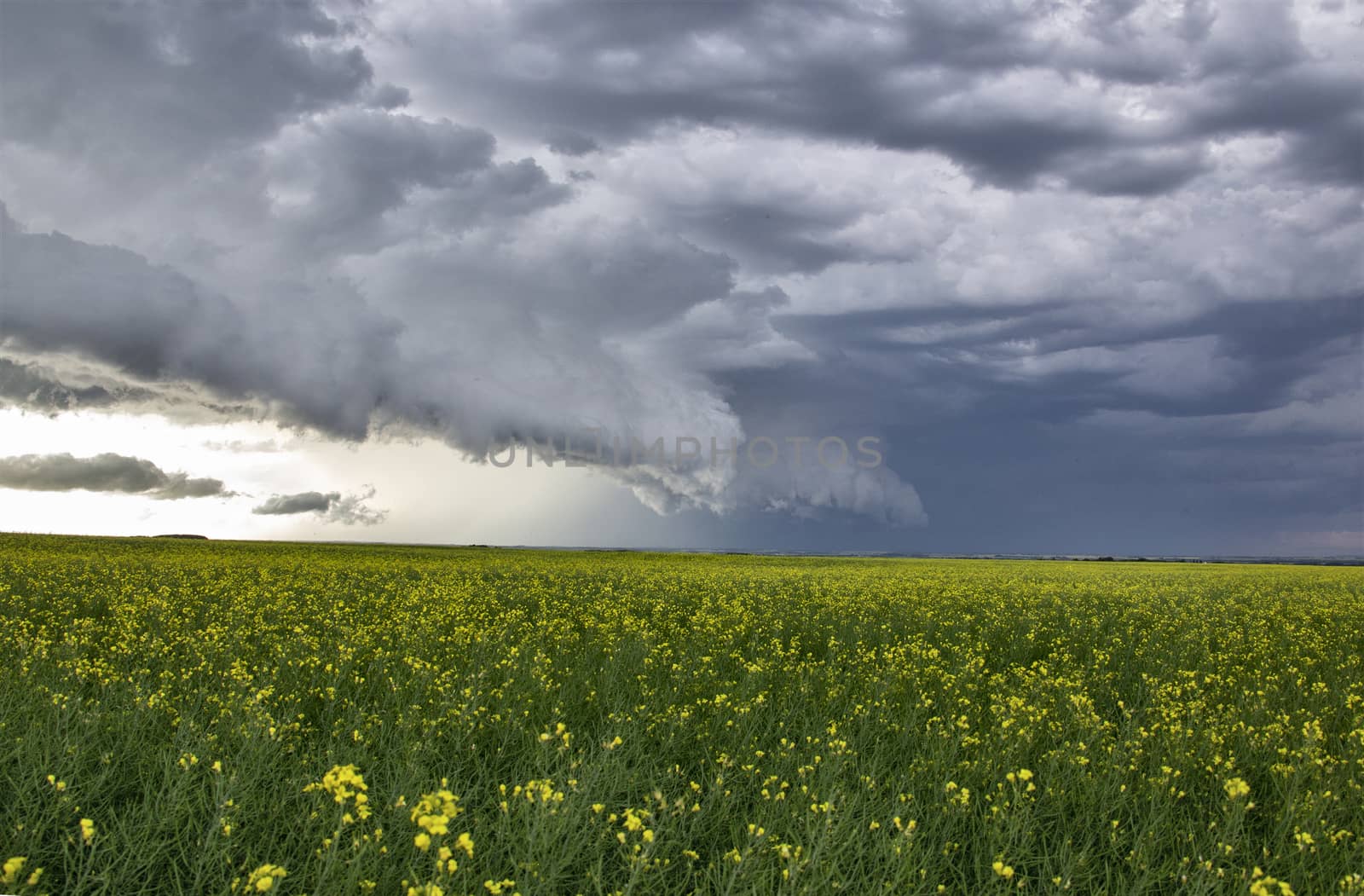 Prairie Storm Clouds Canada Saskatchewan Dramatic Summer